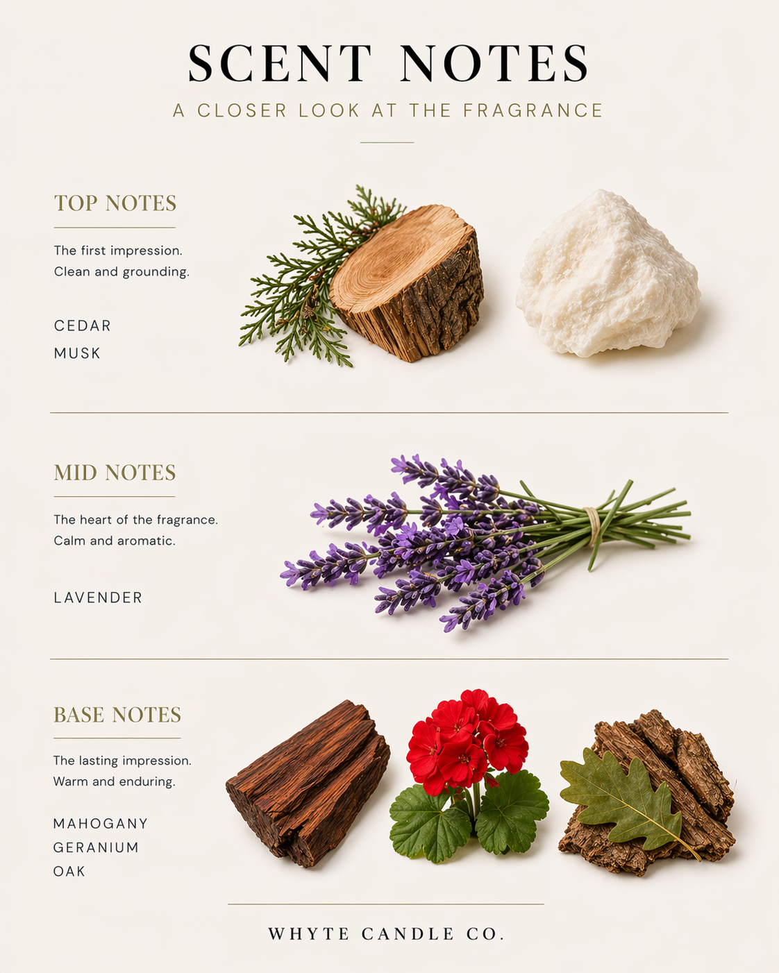 Scentnotes-haven2.png