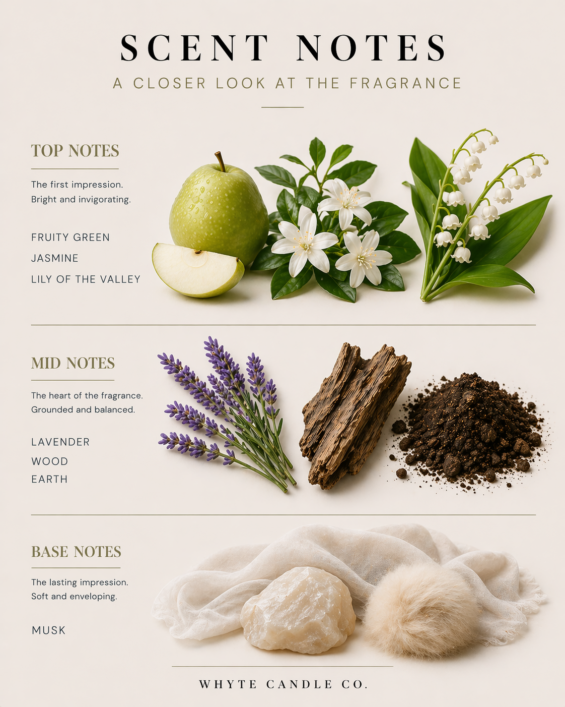 scentnotes-bella.png