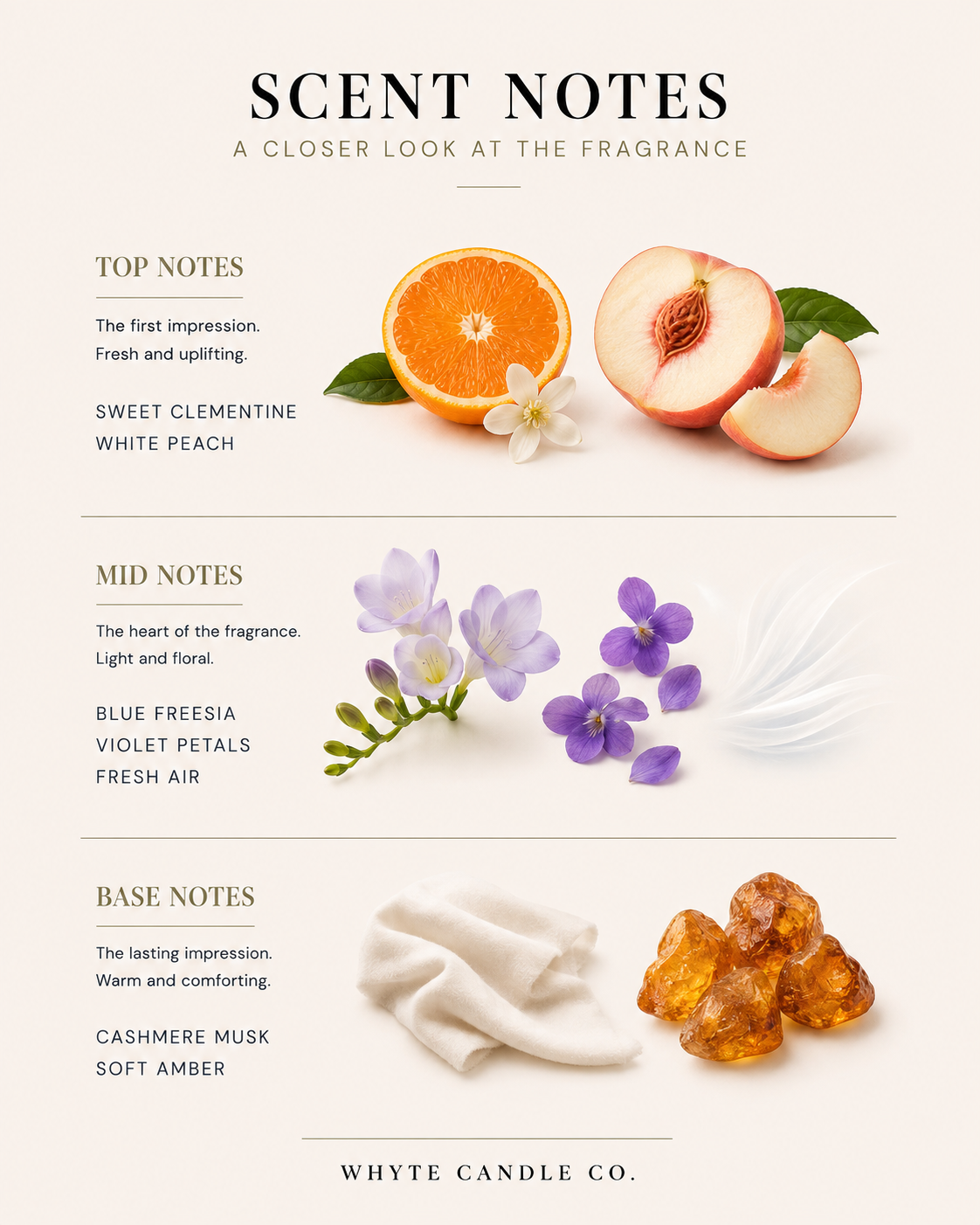 ScentNotes-1.png