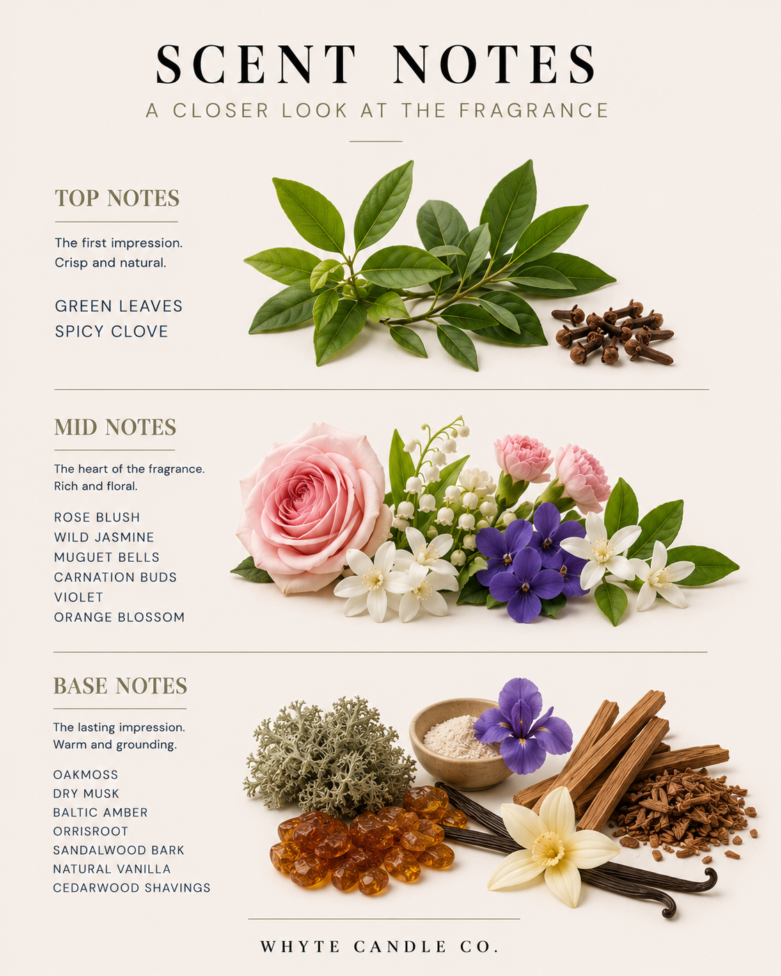 Scentnotes-1.png