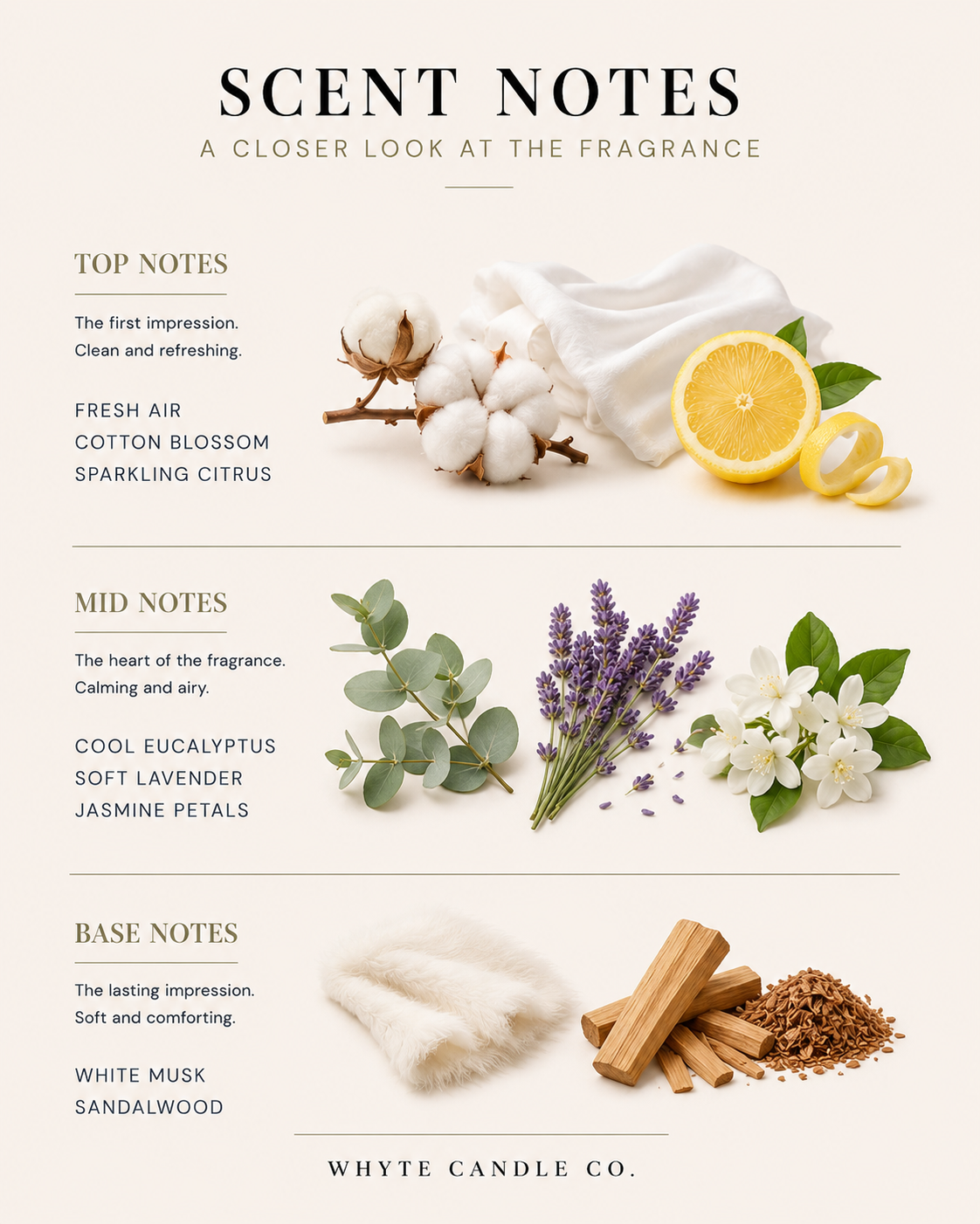 ScentNotes-1.png