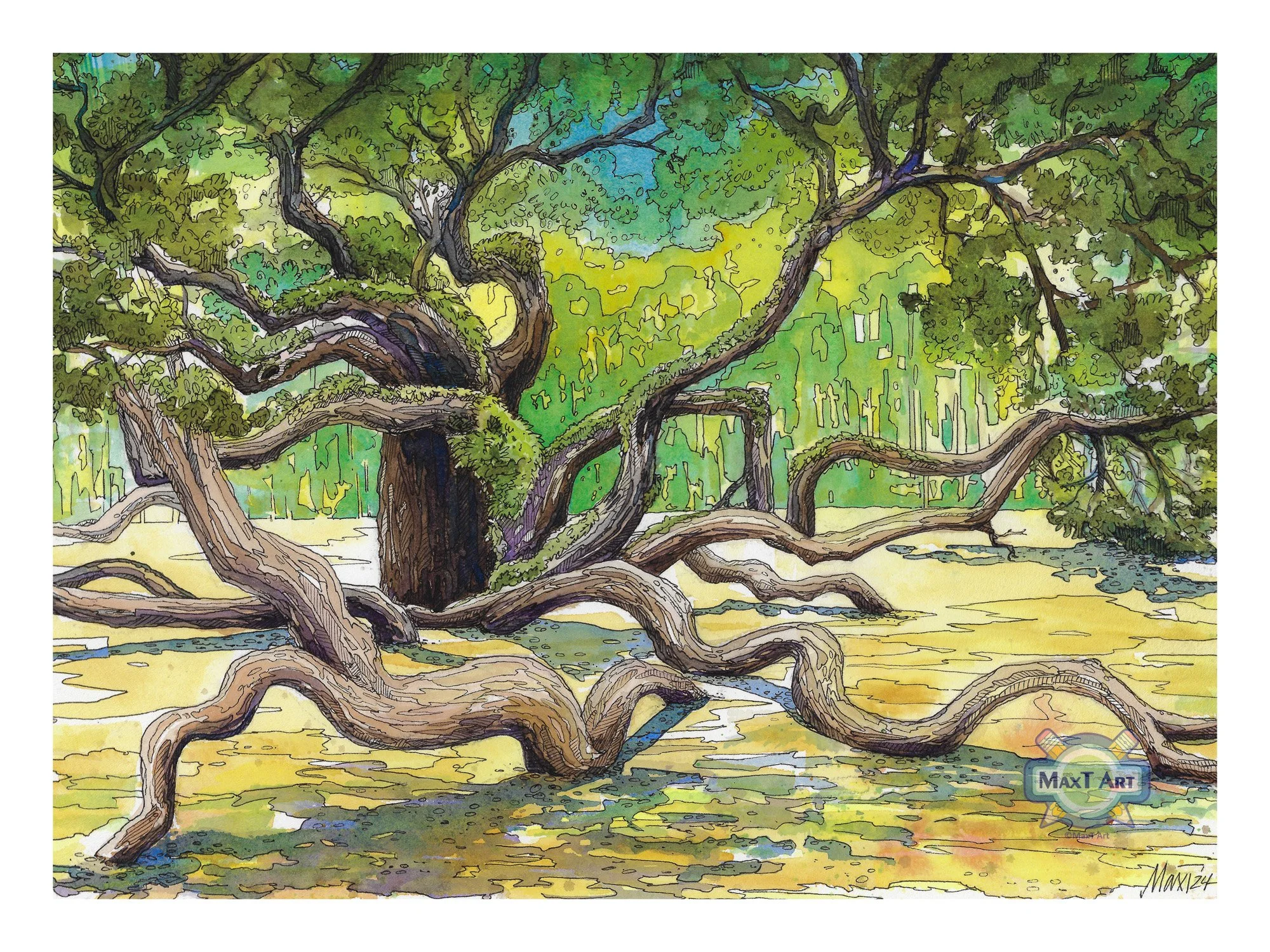 Angel Oak Tree, Johns Island, Charleston, SC