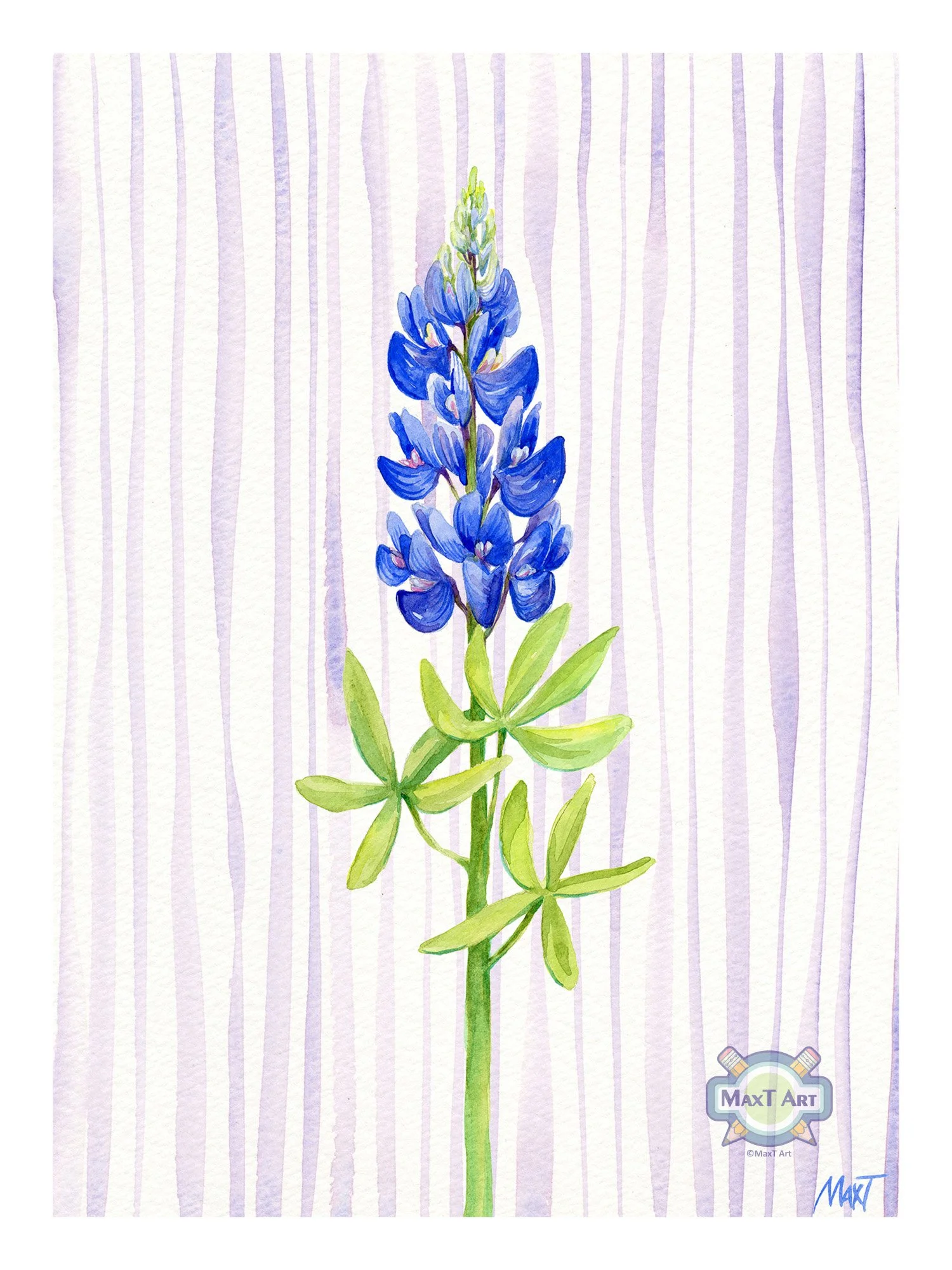 Bluebonnet