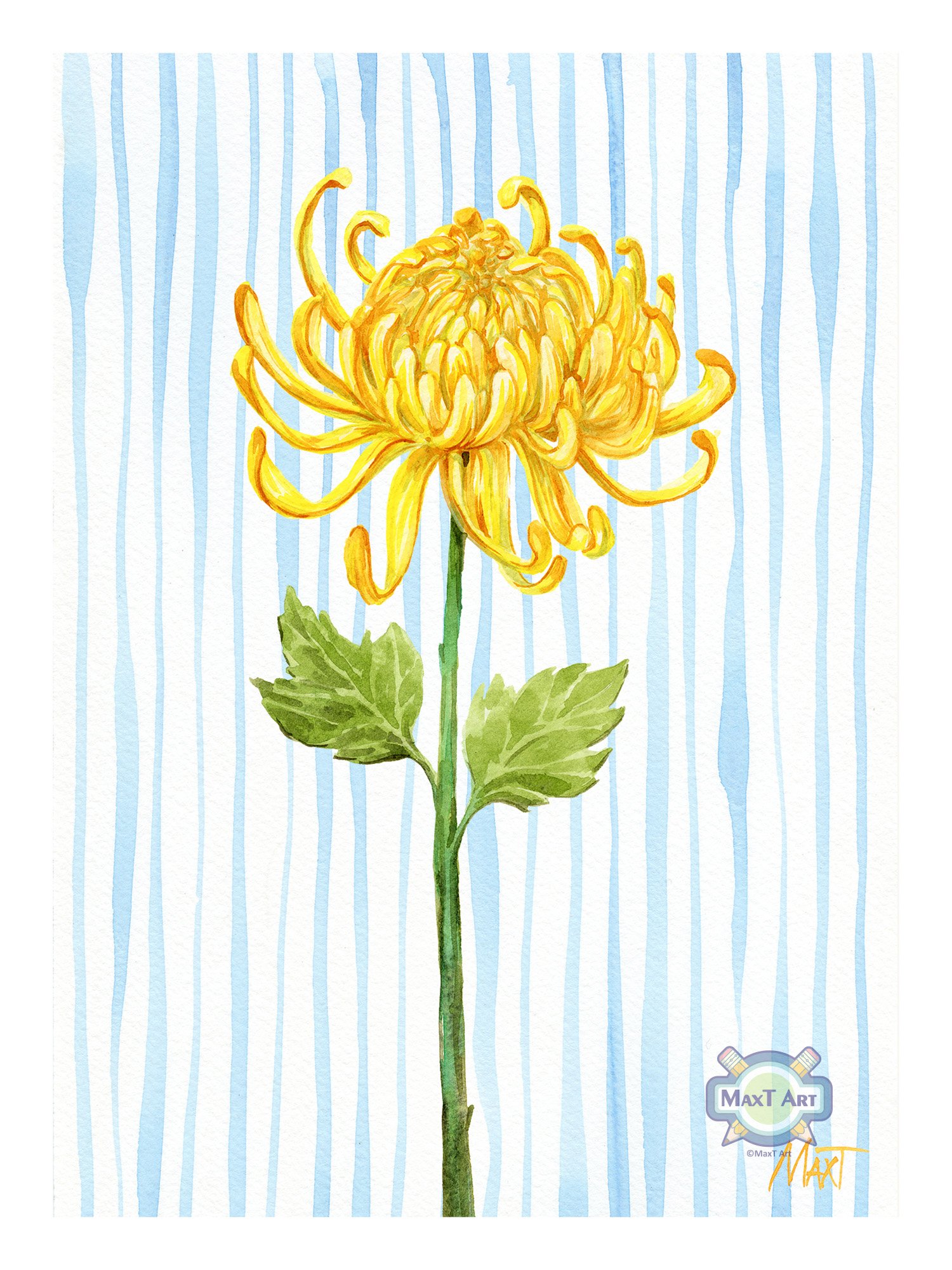 Yellow Chrysanthemum