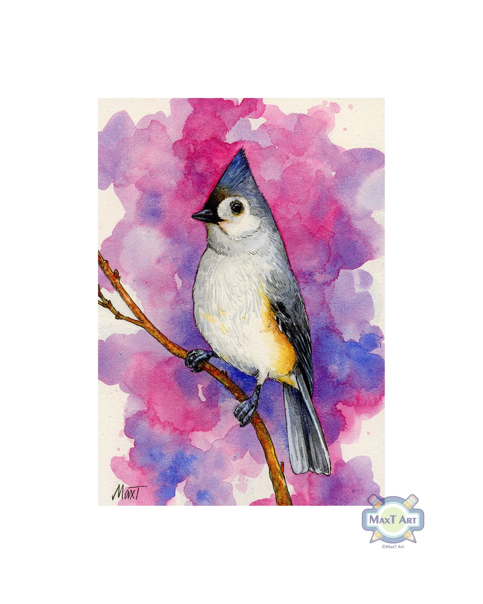 Tufted titmouse