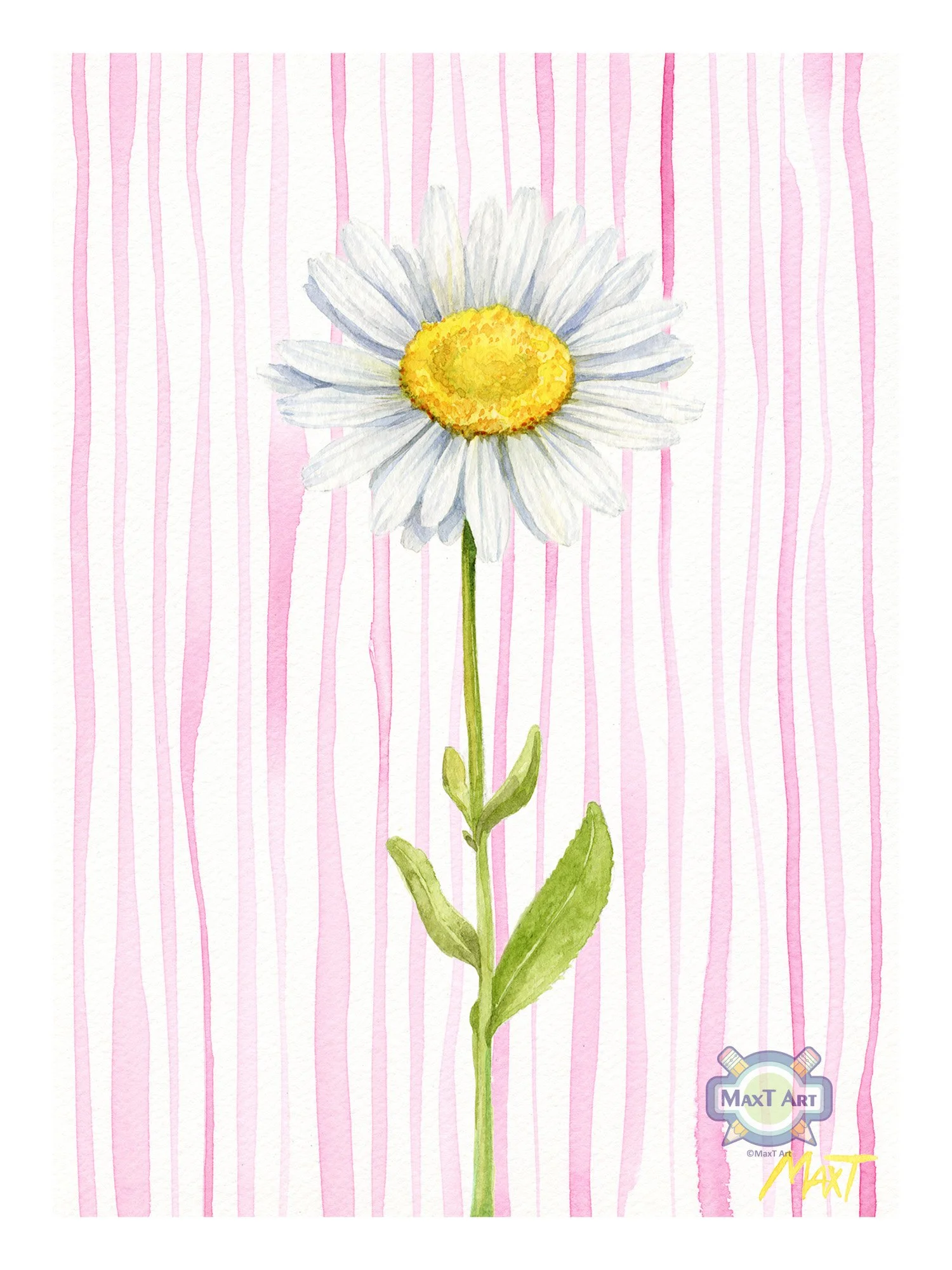 Daisy