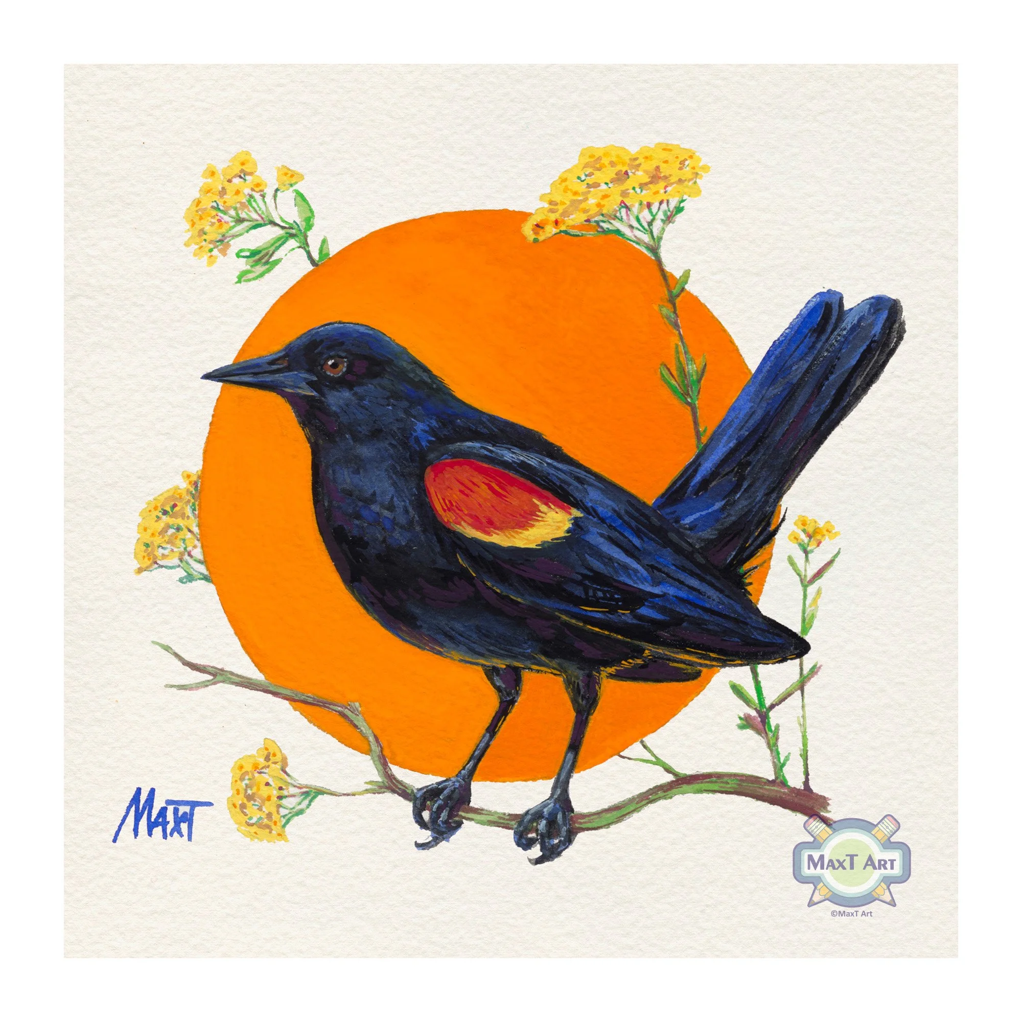 Red-winged Blackbird