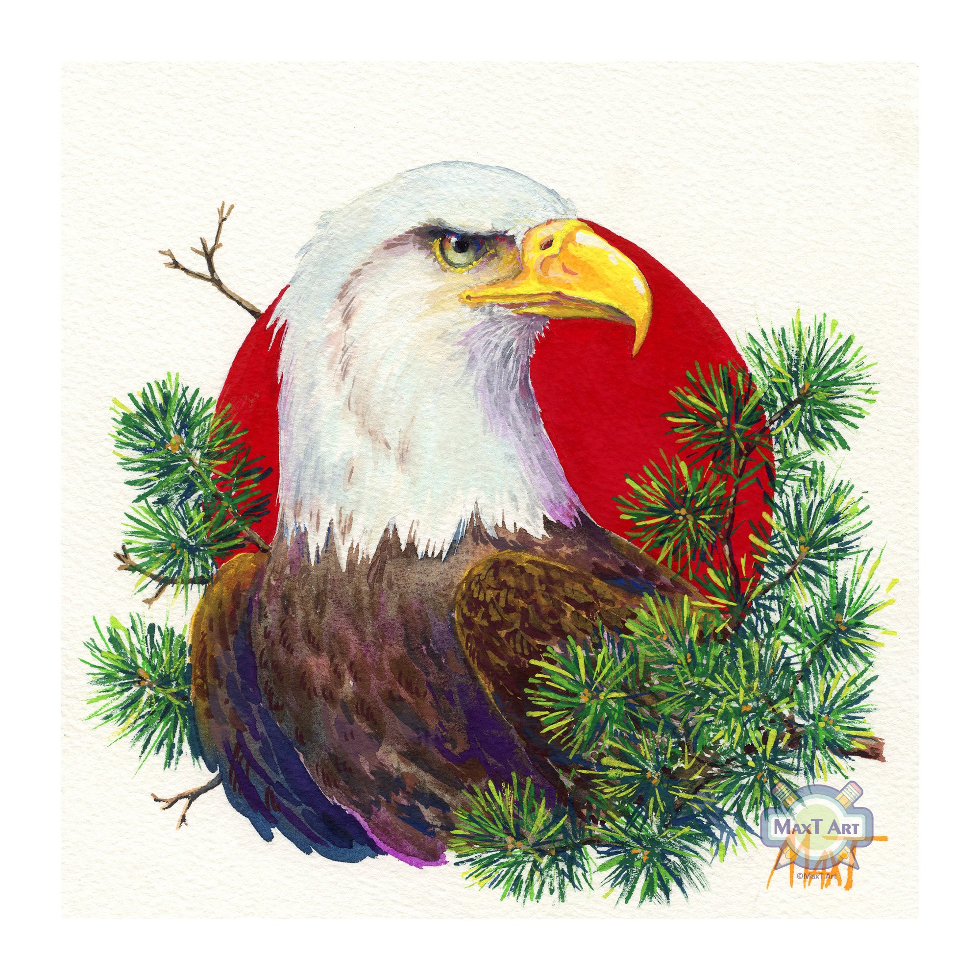 Bald Eagle