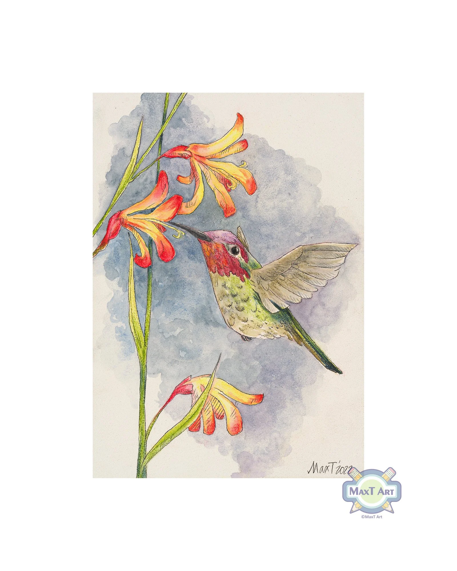 Ruby-throated Hummingbird