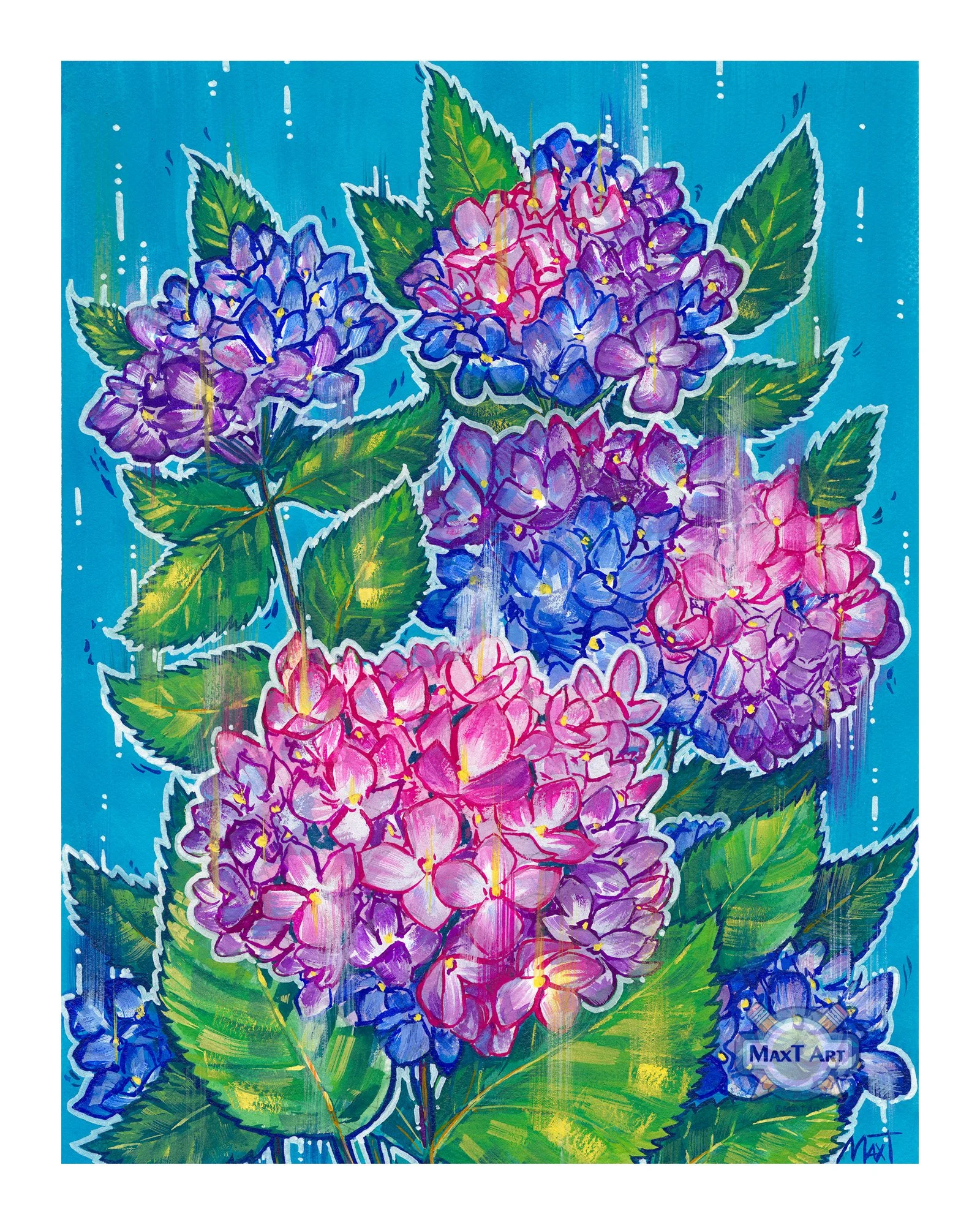 Hydrangeas