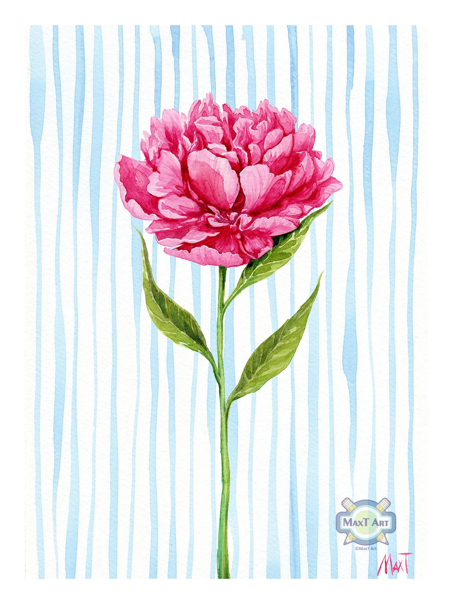 Pink Peony
