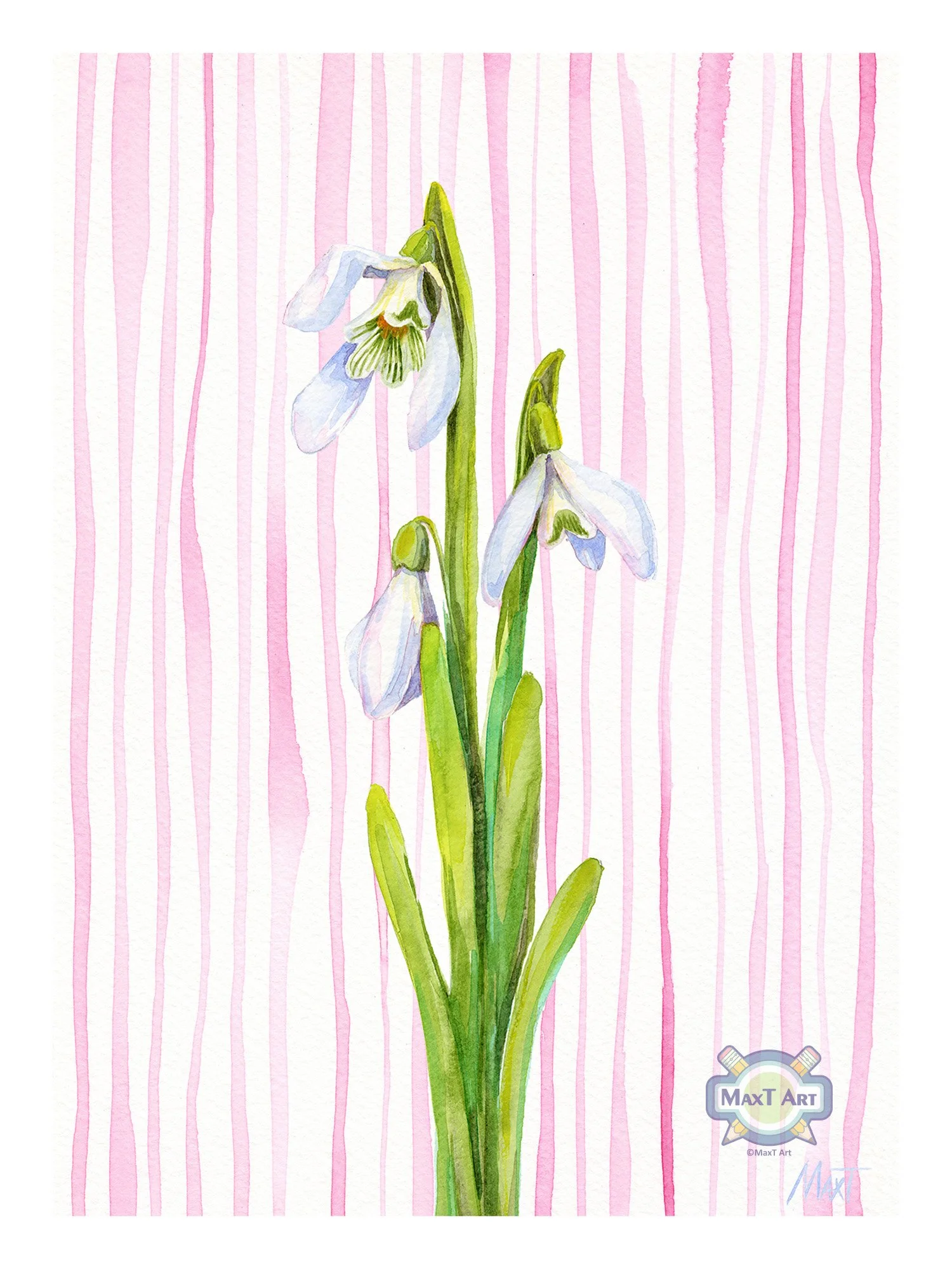 Snowdrop
