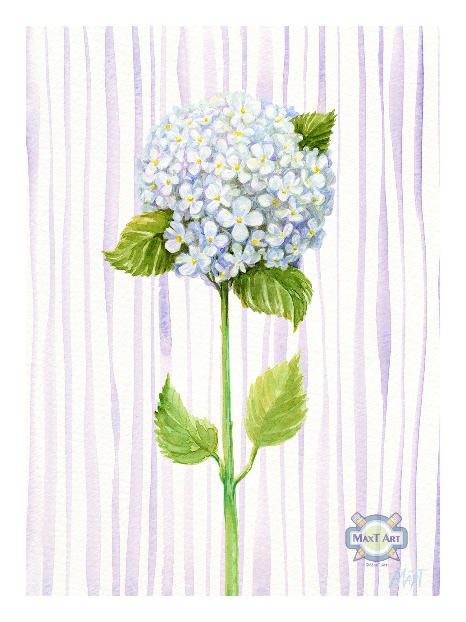 White Hydrangea