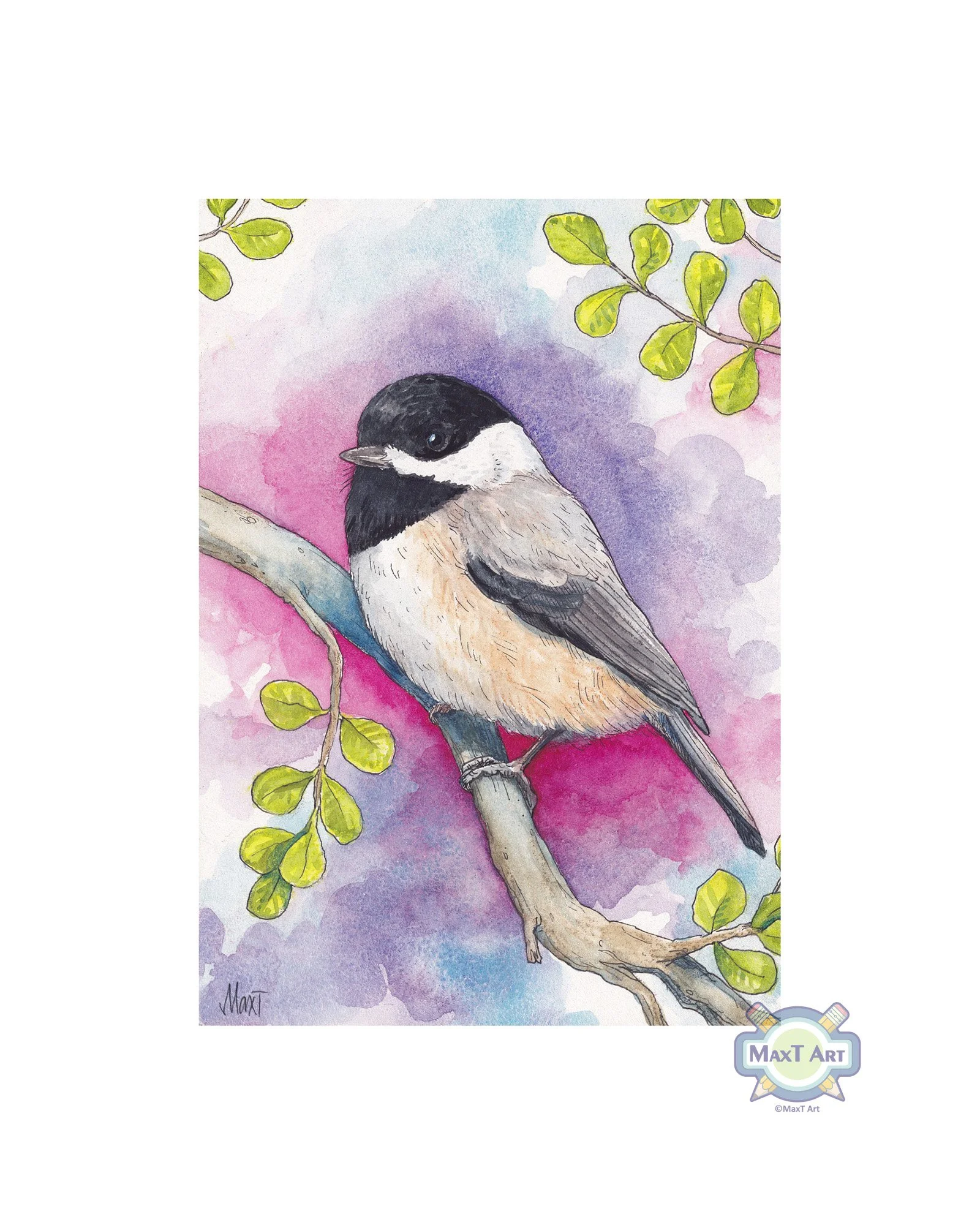 Carolina Chickadee