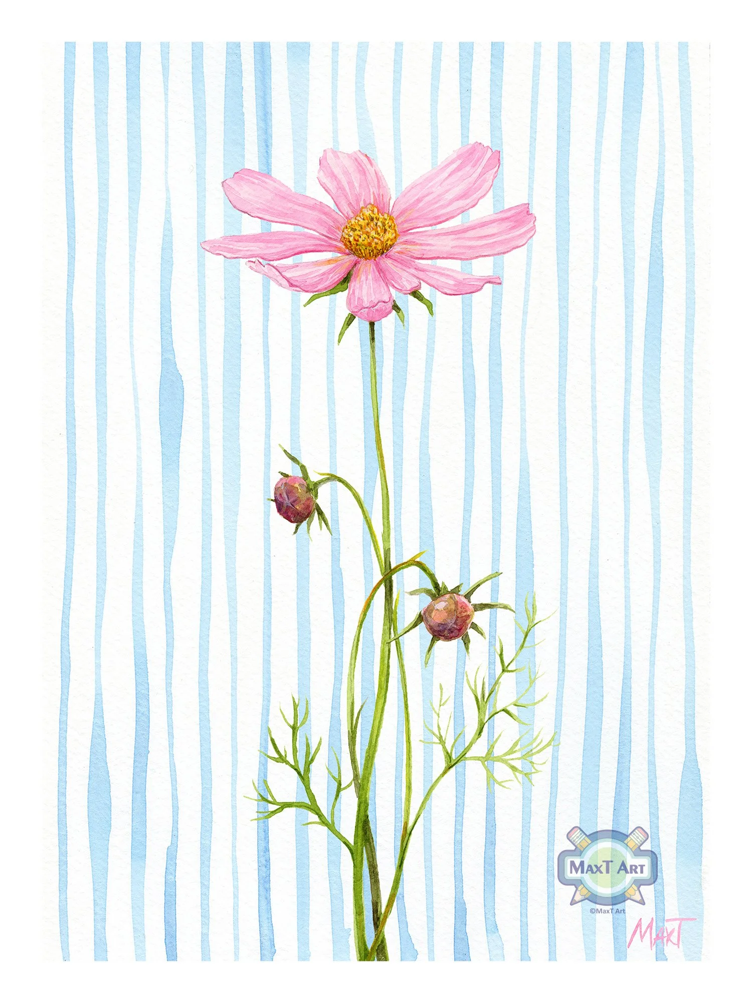 Cosmos