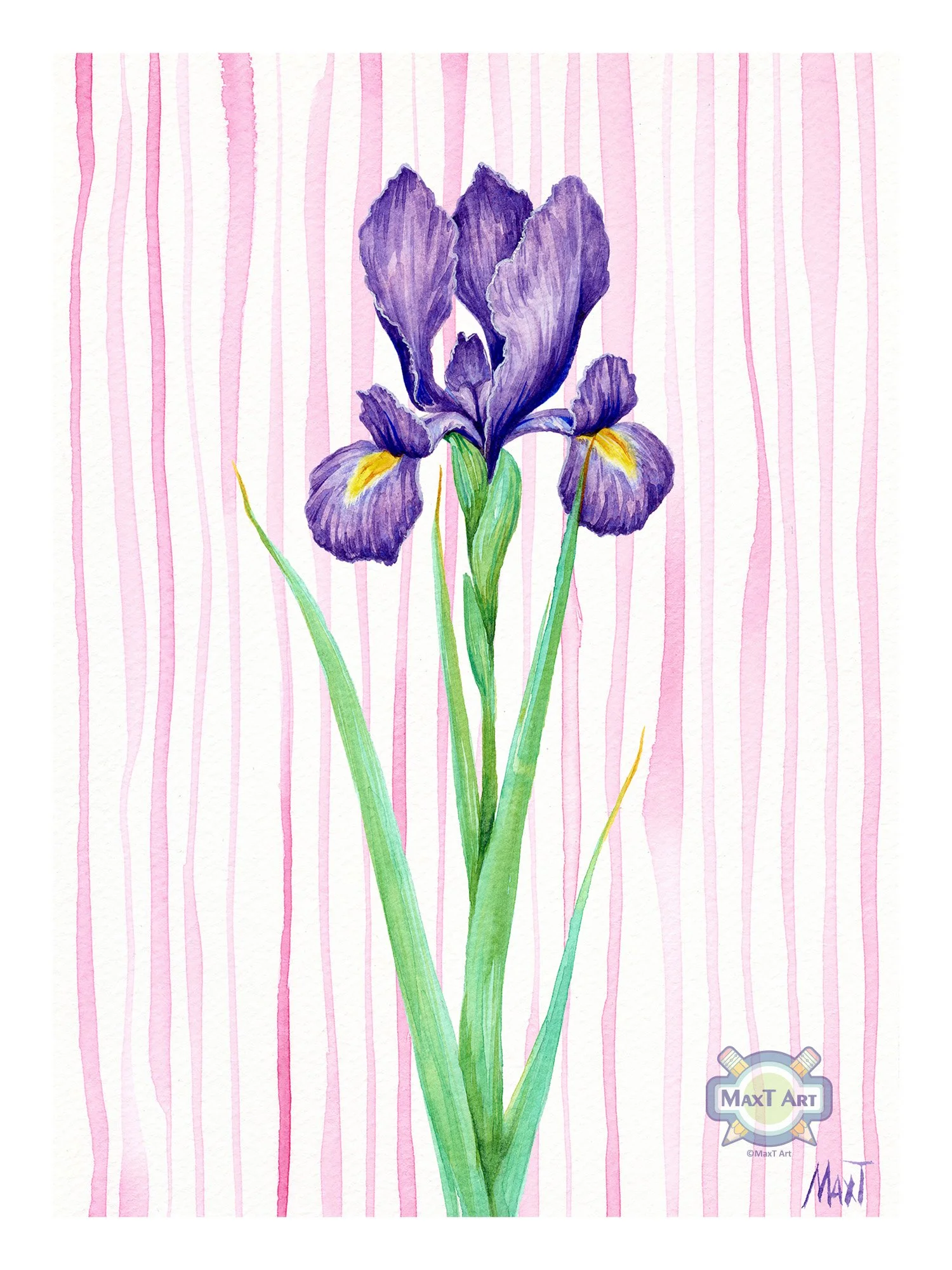 Dutch Iris