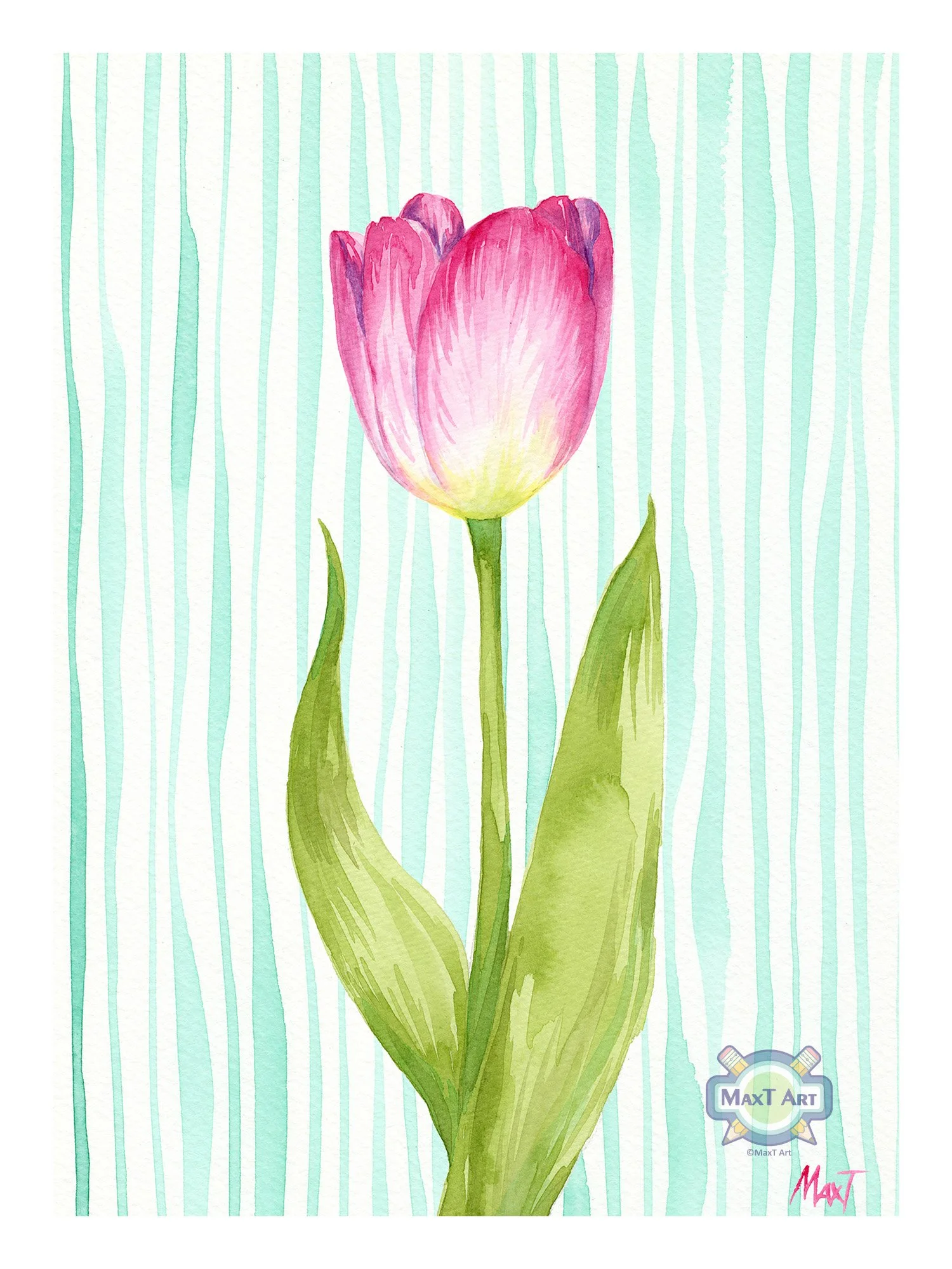 Pink Tulip