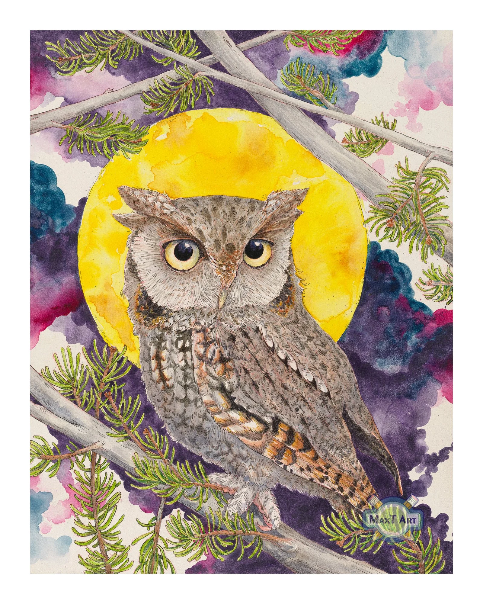 Screech Owl