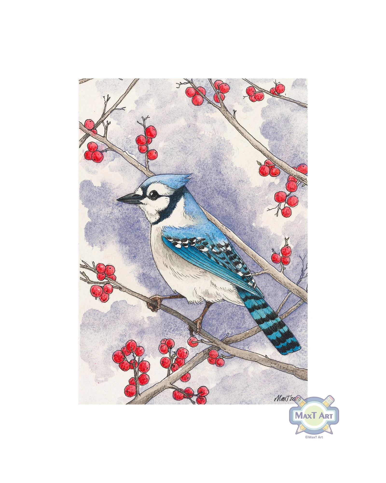 Blue Jay
