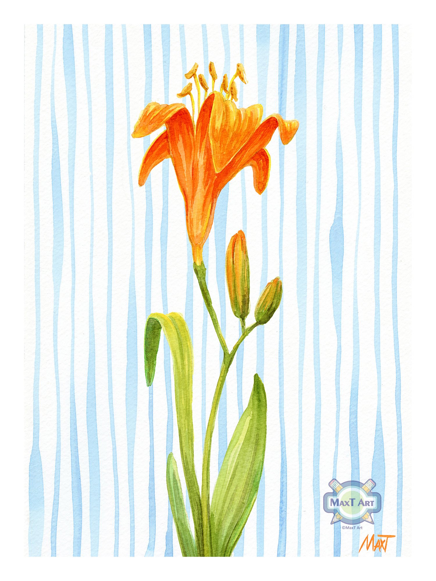 Daylily