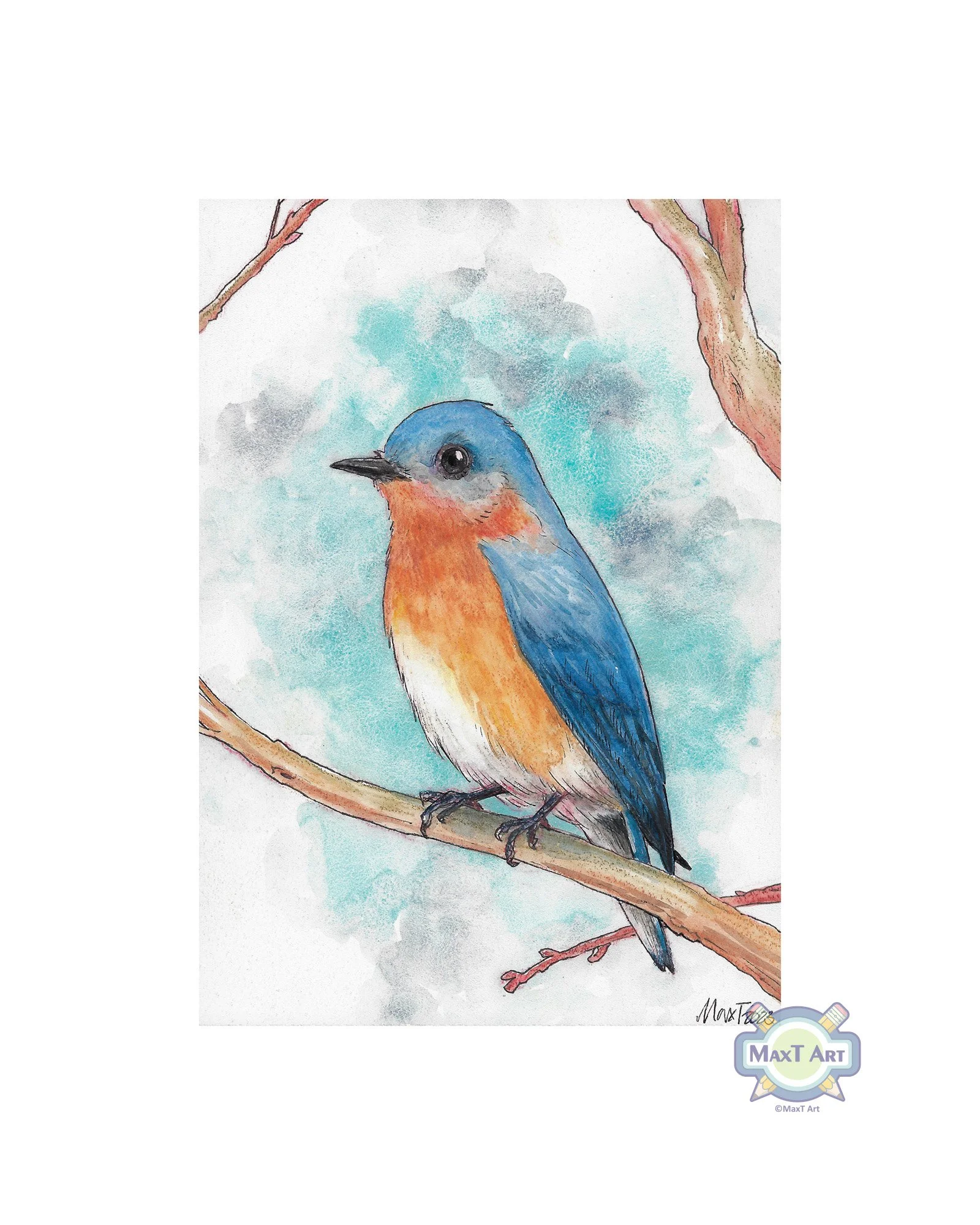 Eastern Bluebird