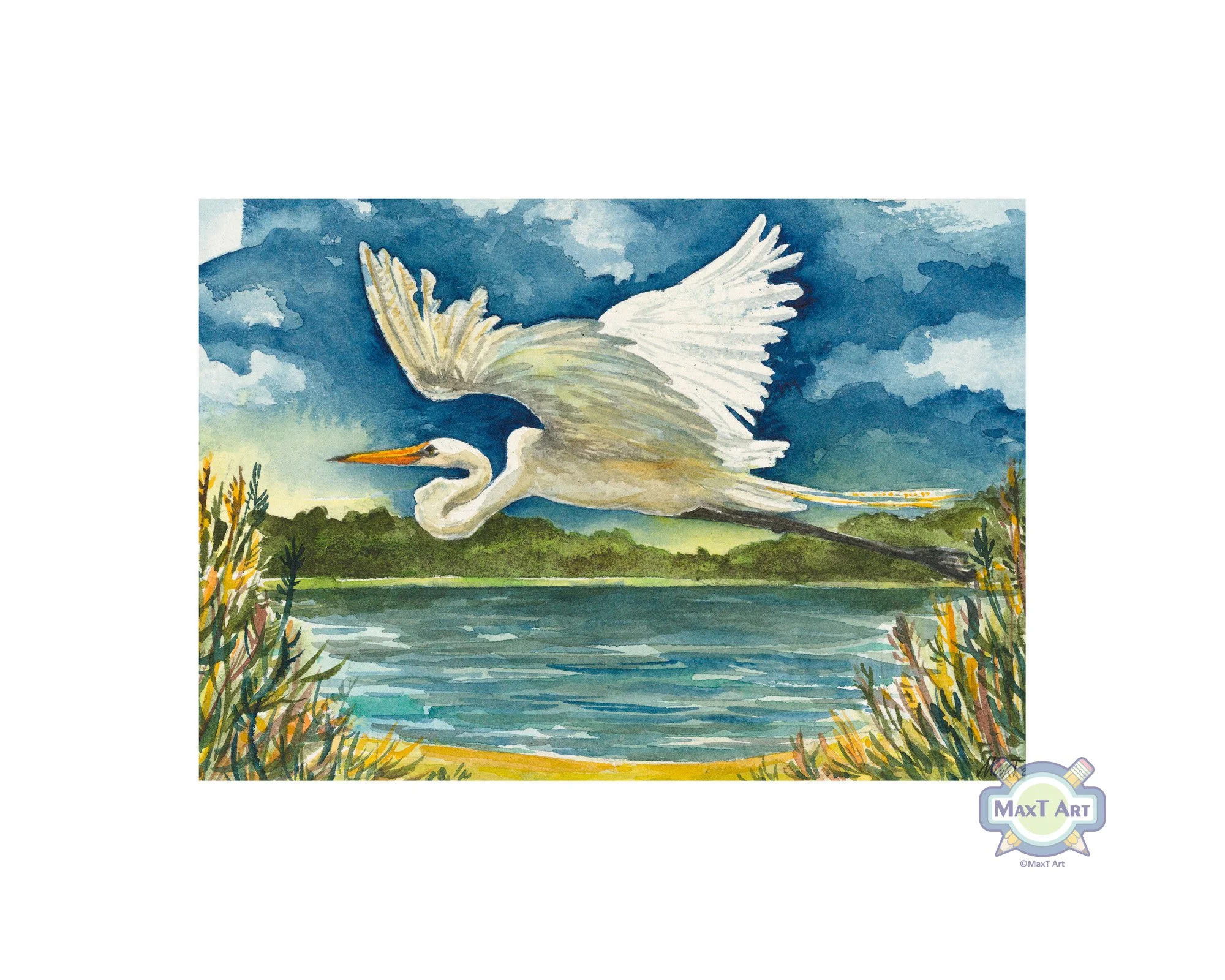 White Egret