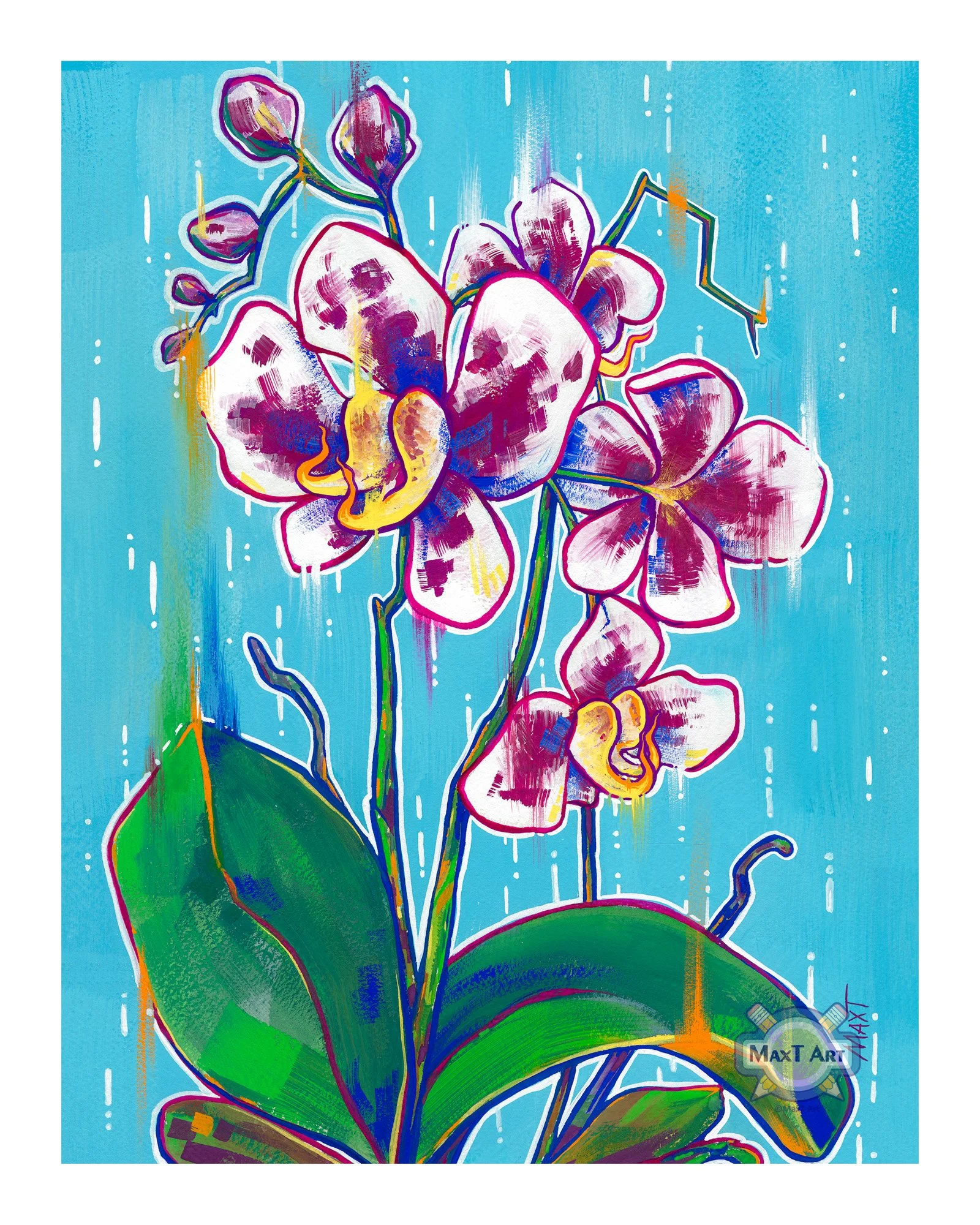 Orchid