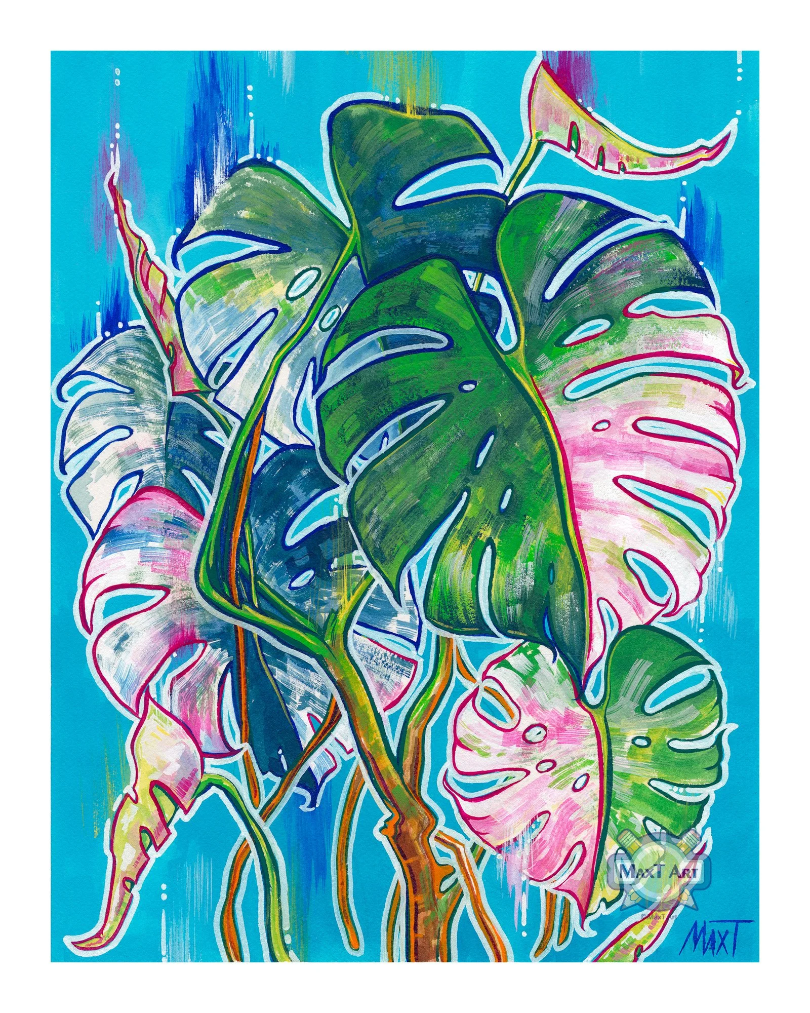 Monstera Albo