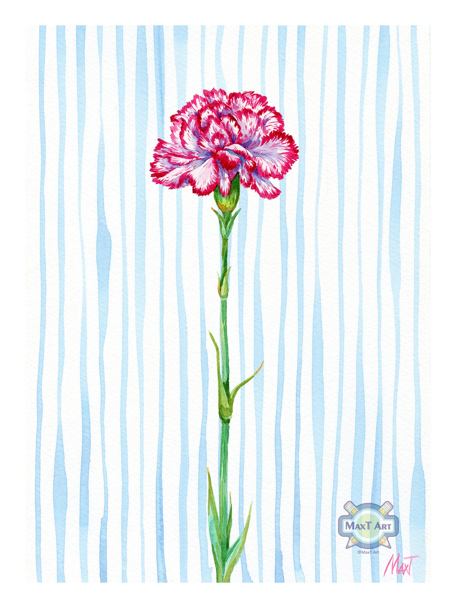 Peppermint Carnation