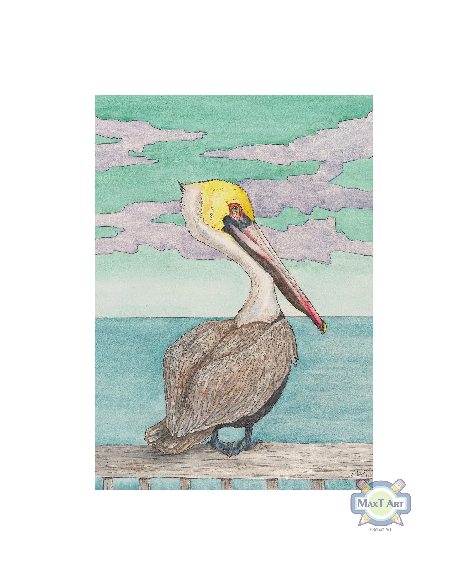 Brown Pelican