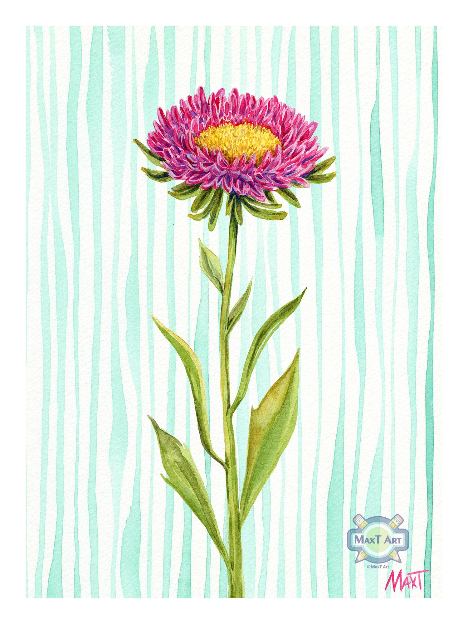 Aster