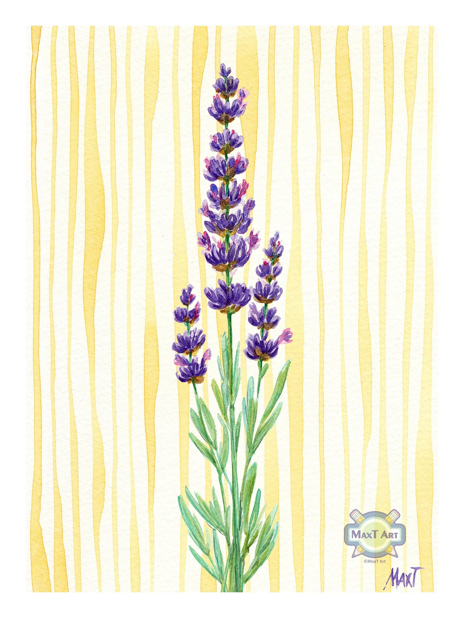 Lavender