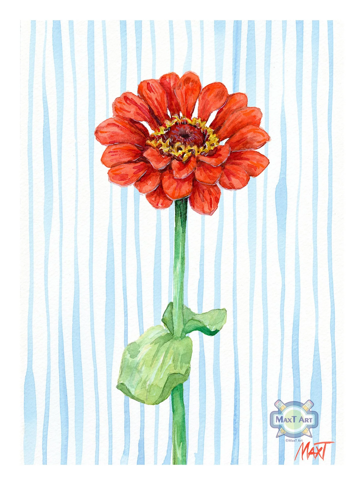 Zinnia