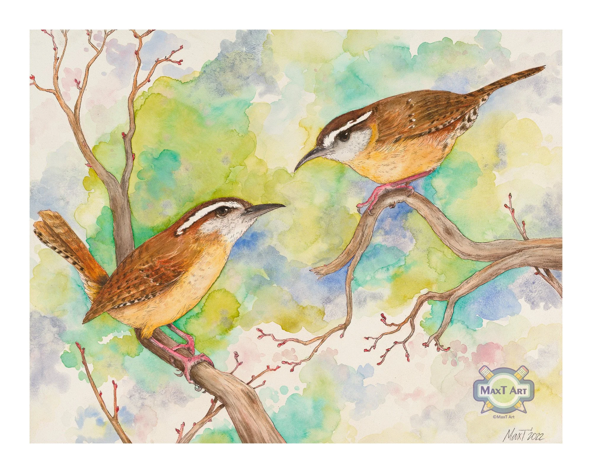 Carolina Wrens