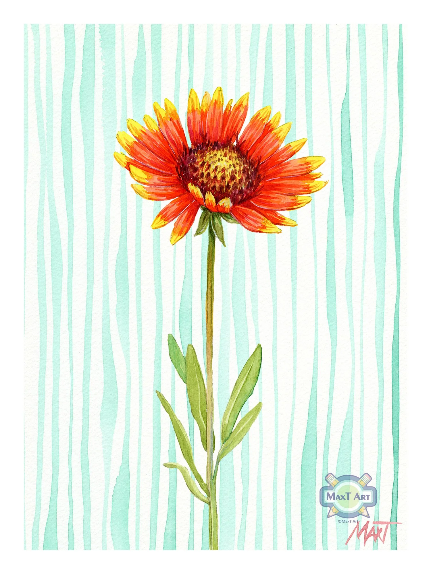Gaillardia