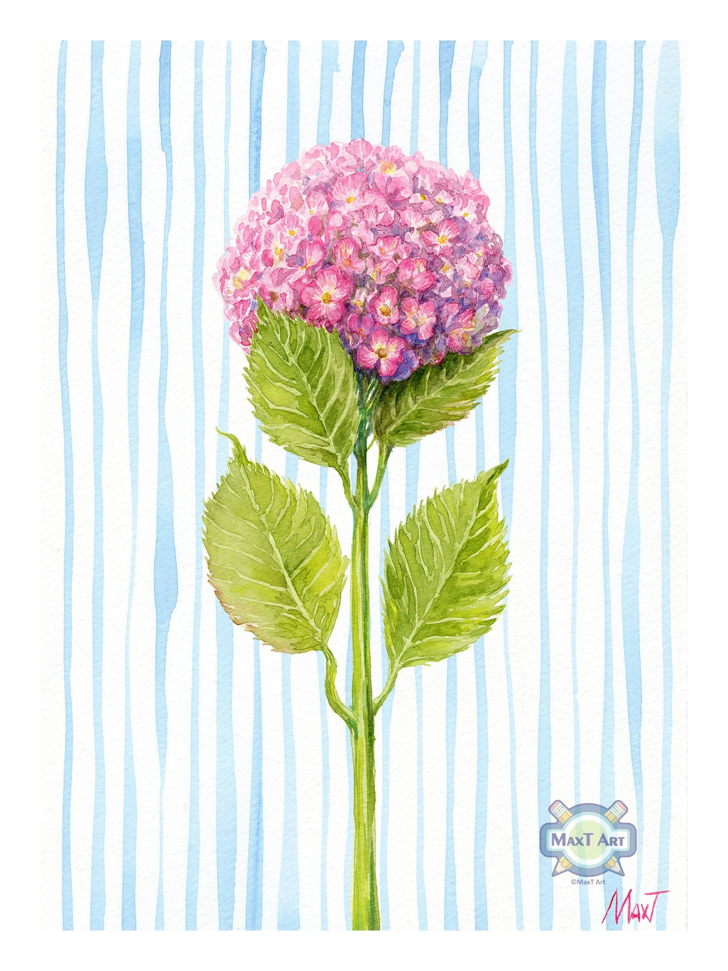 Pink Hydrangea