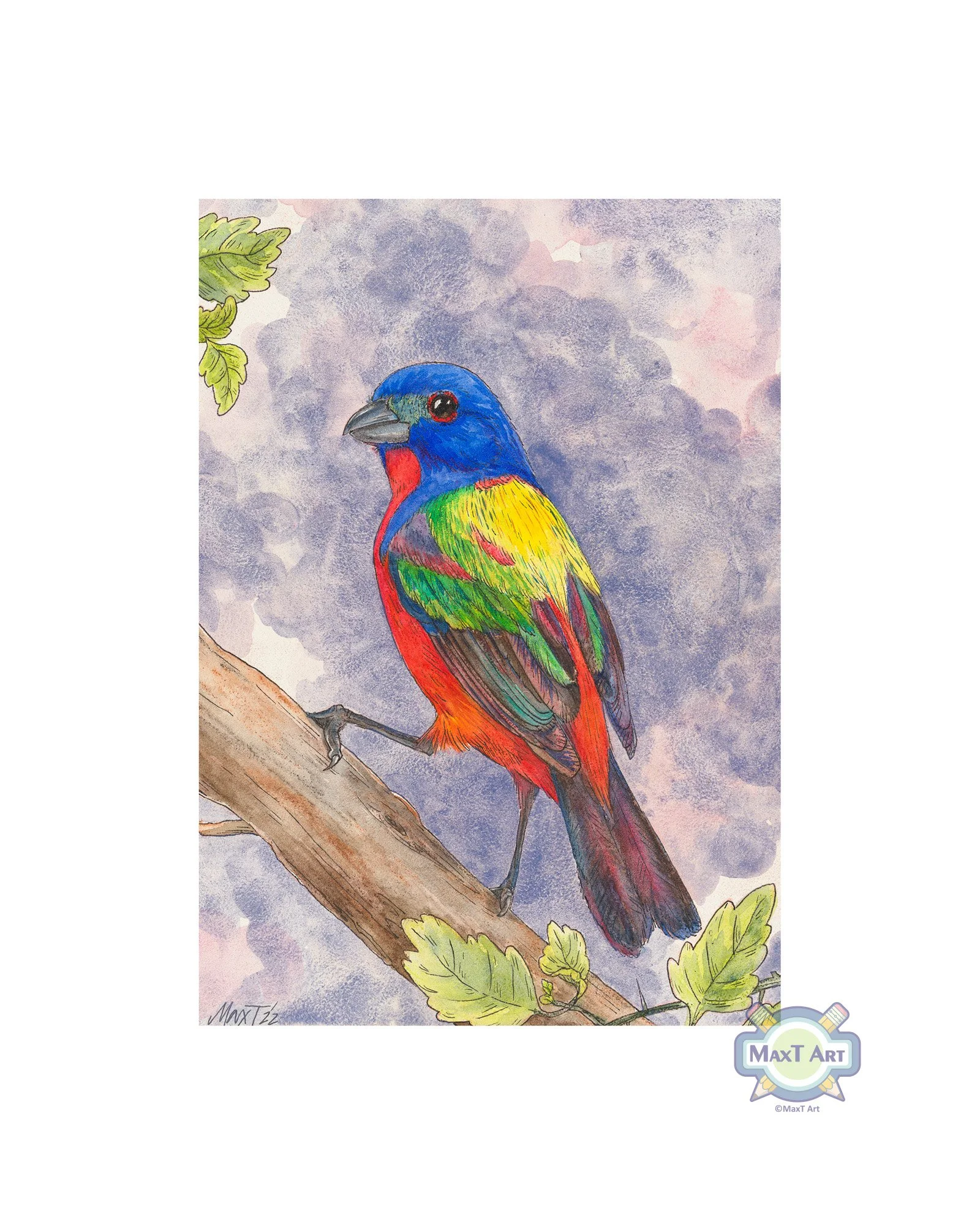 Painted Bunting