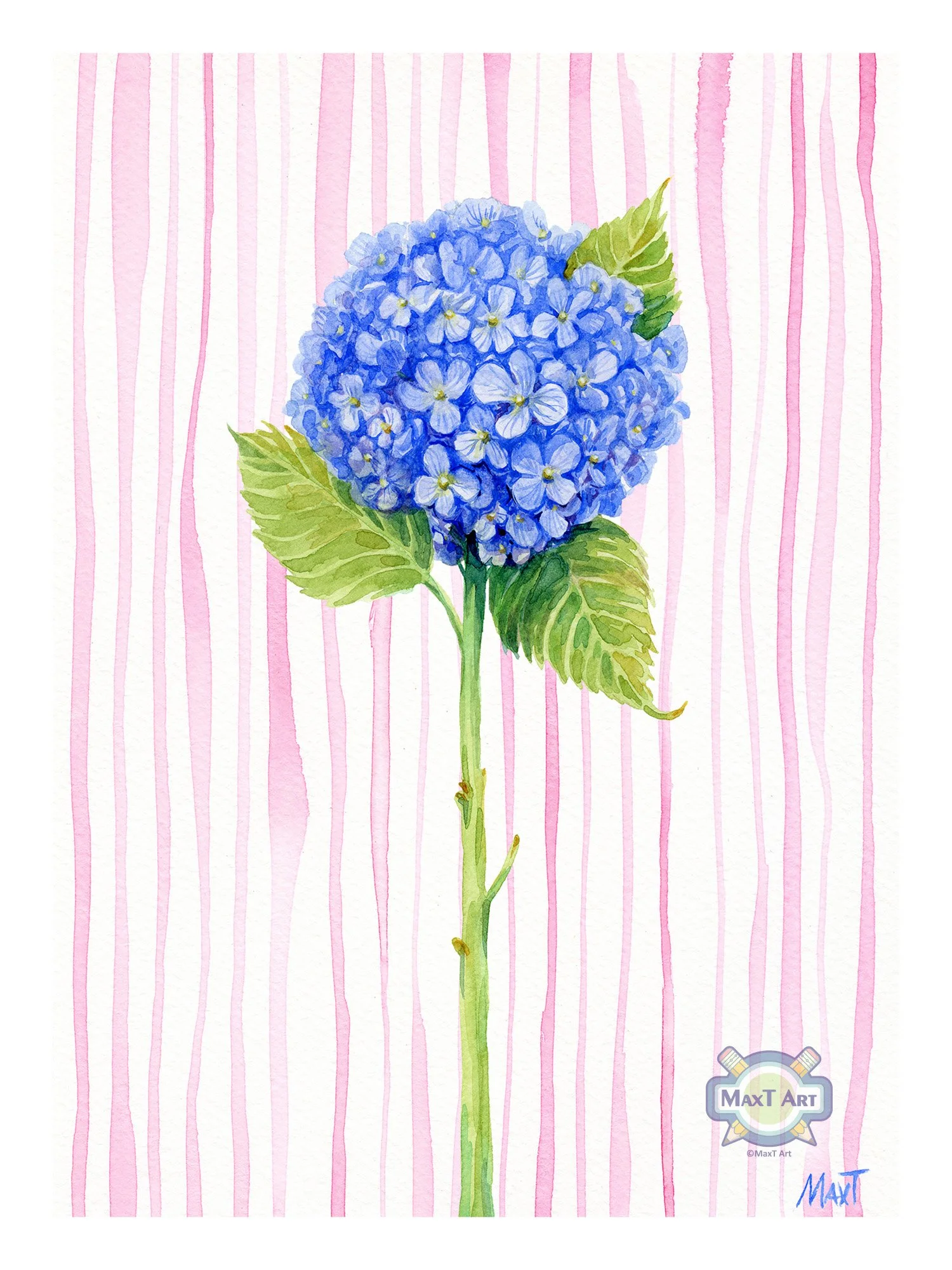 Blue Hydrangea