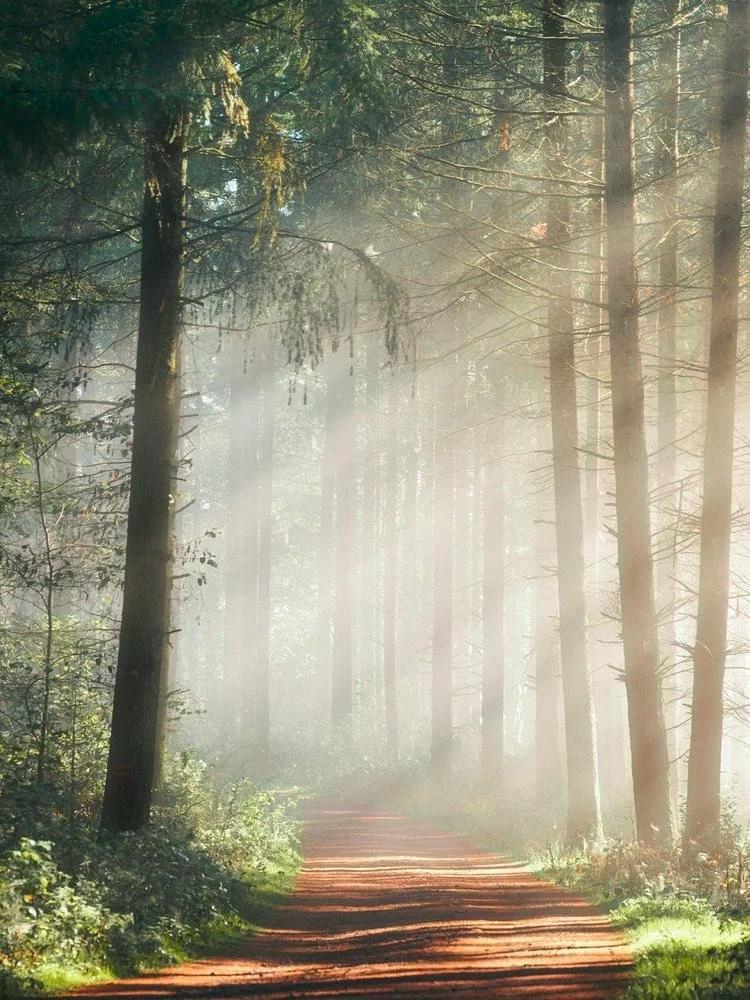 The Practice of Wonder
