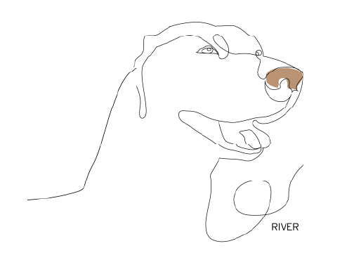 7x5_RIVER_2.png