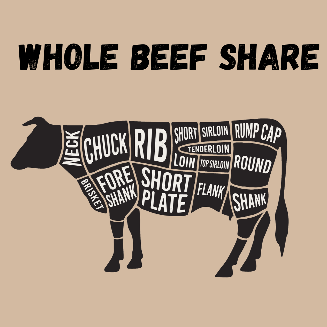 Whole Cow Beef Share