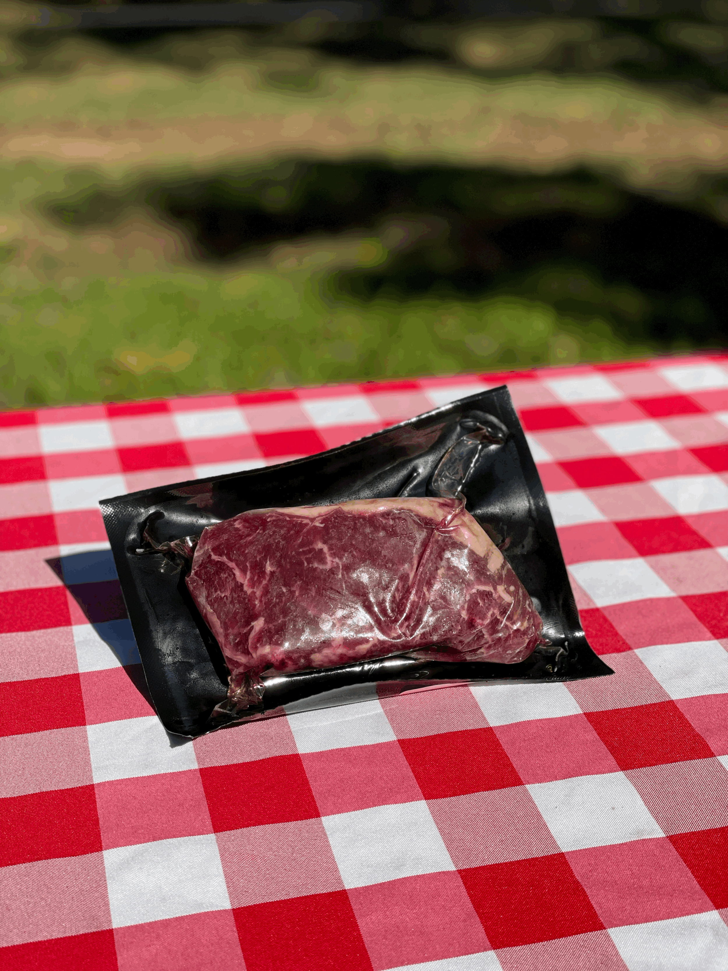 NY Strip Steak
