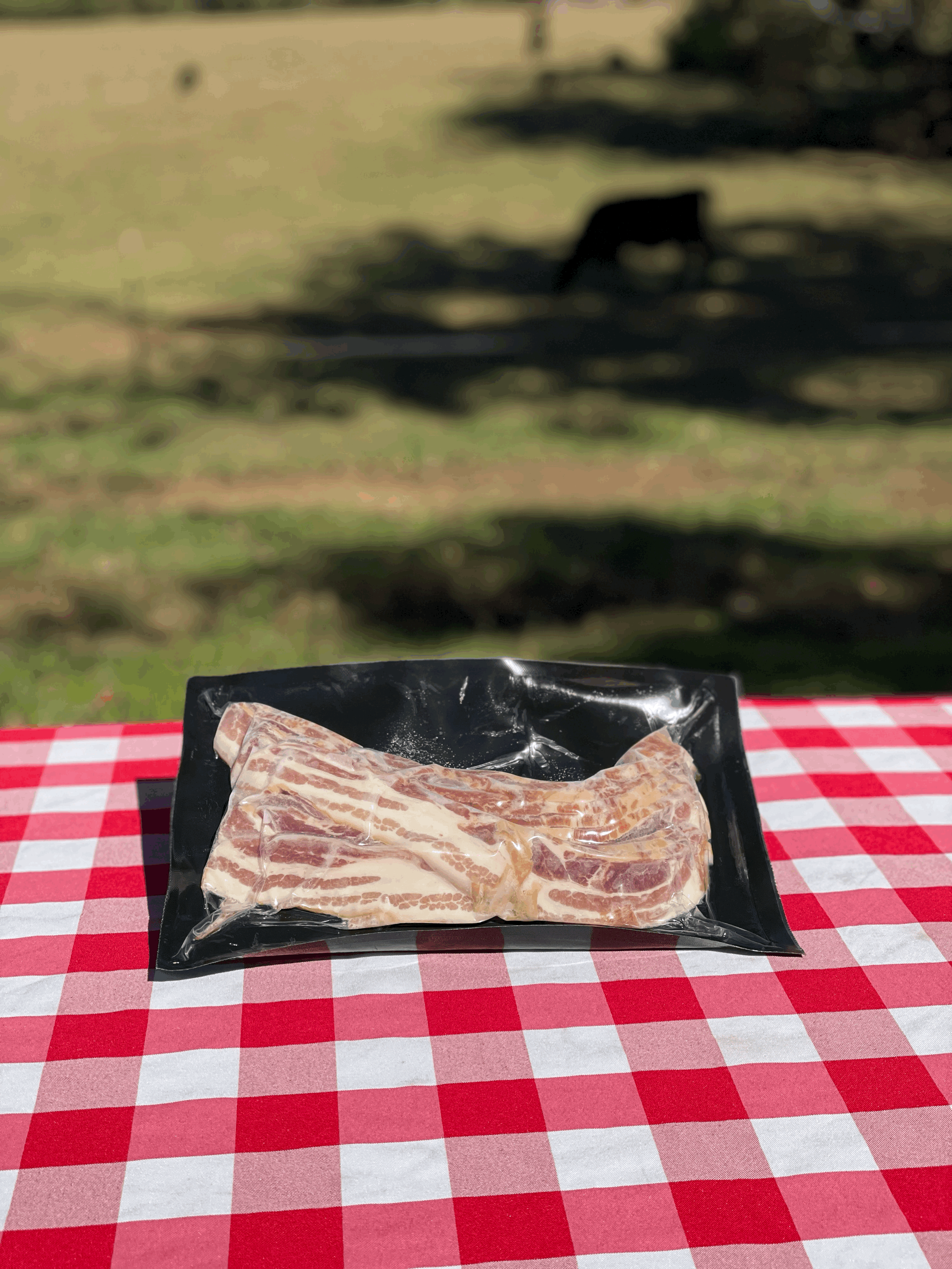 Bacon