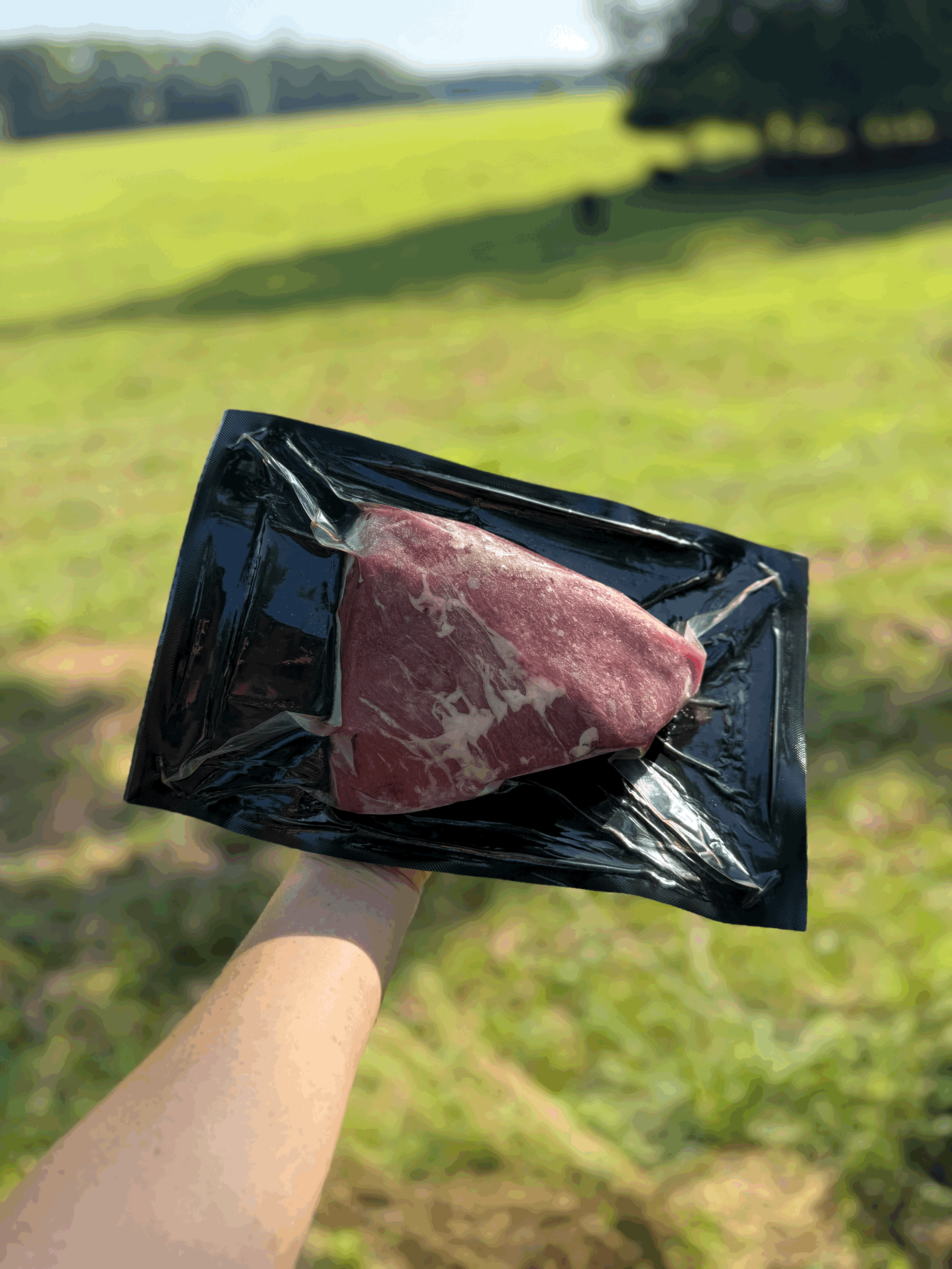 Skirt Steak