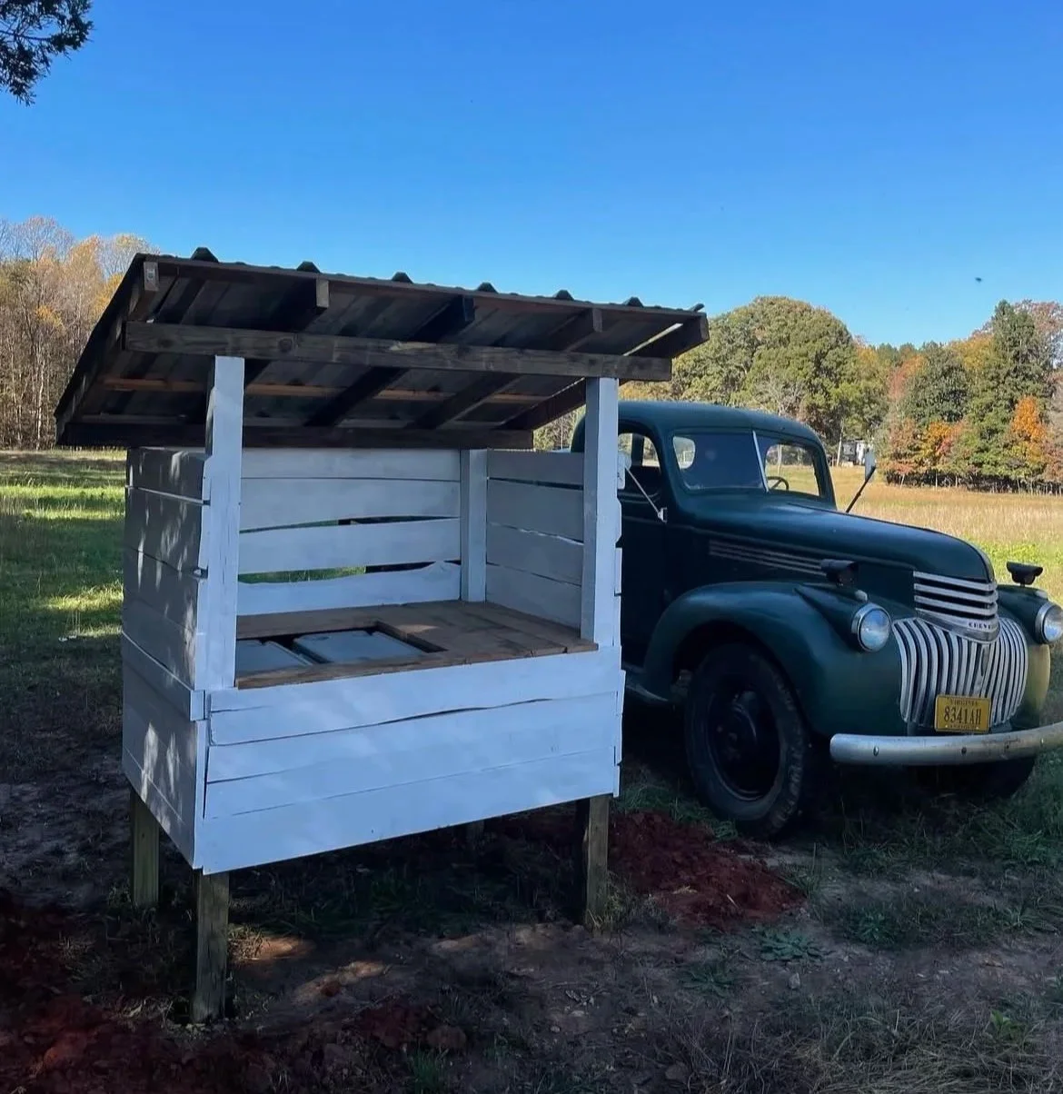 A vintage dark green pickup truck parked on grass next to a wooden food cart with a roof in a rural field under a bright blue sky, with trees in the background.