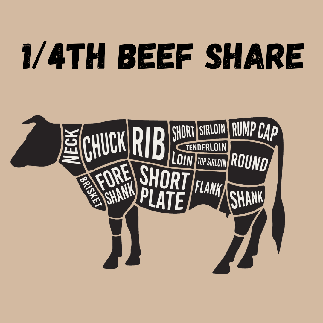 1/4th Beef Share