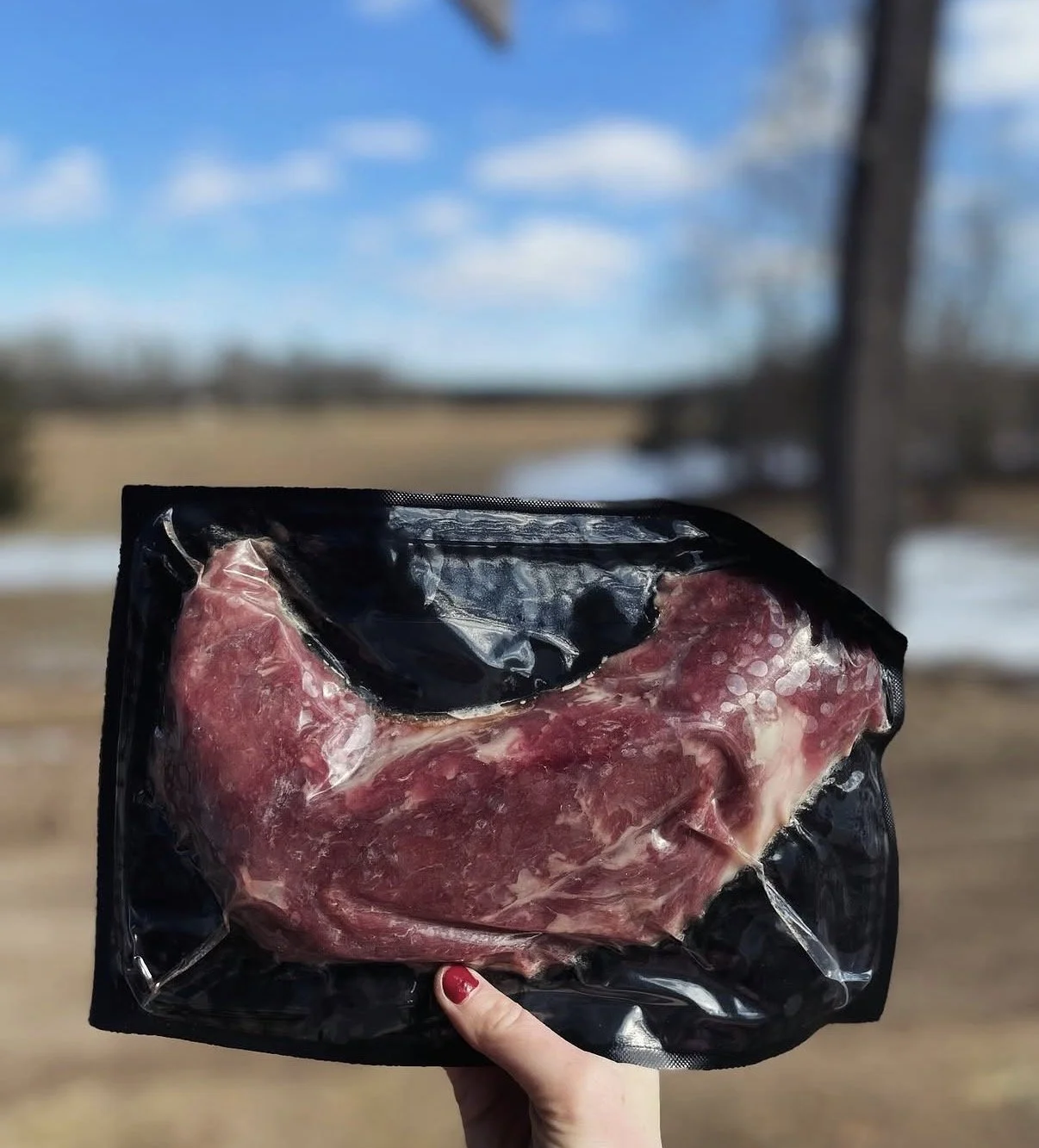 Pork Tenderlion
