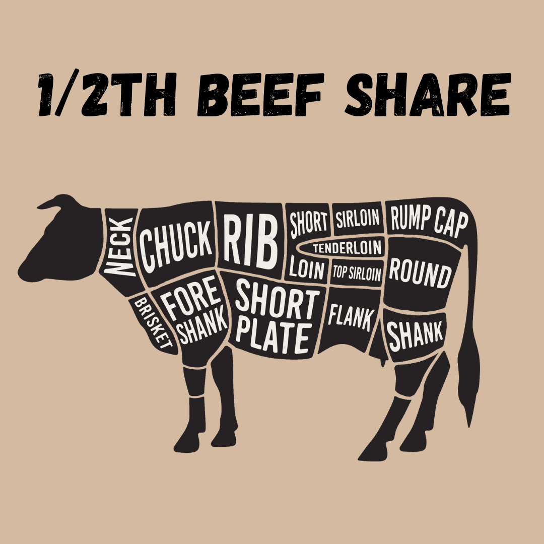 1/2 th Beef Share