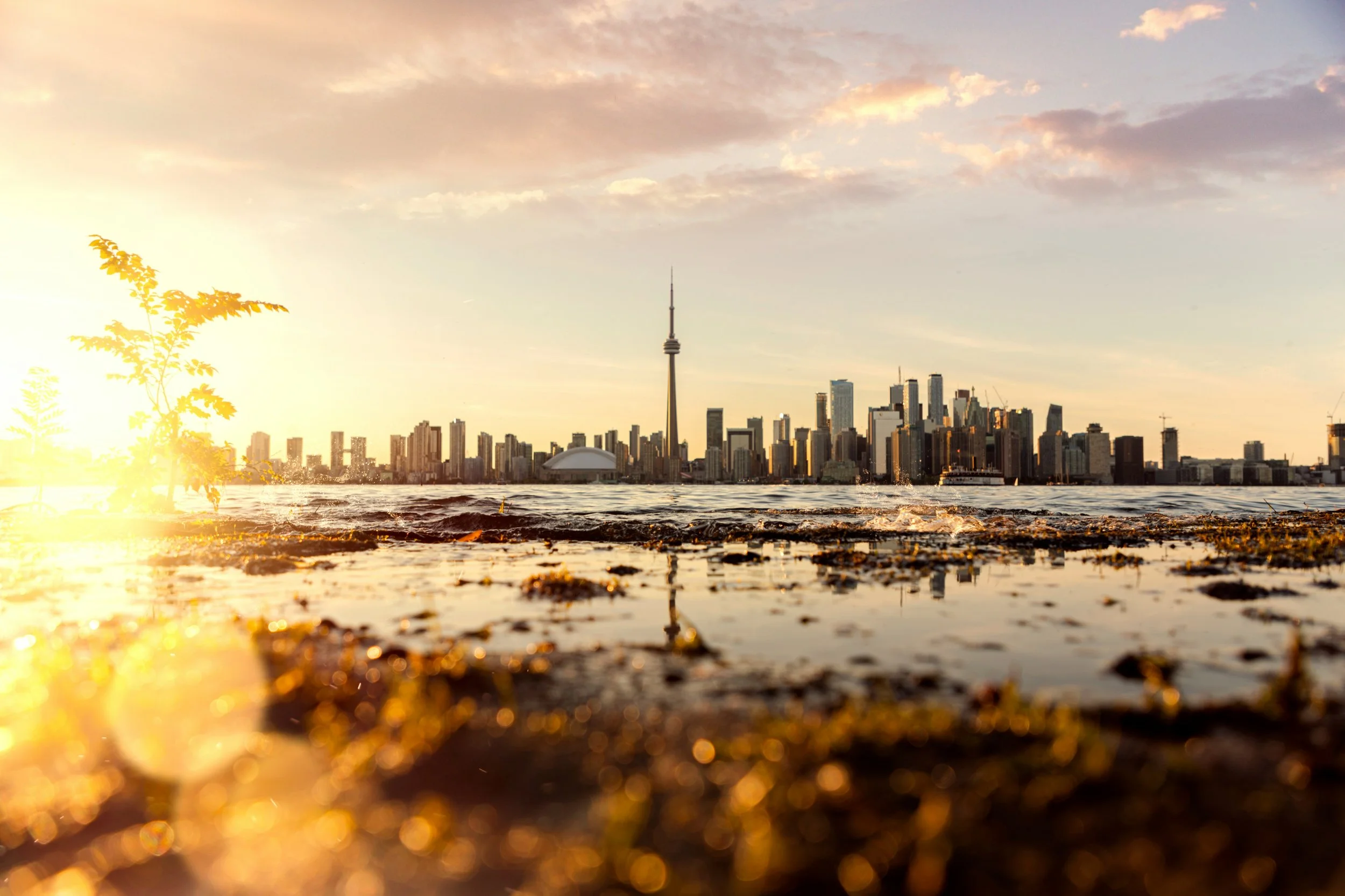 Tkaronto’s skyline and the CN Tower rise beyond Lake Ontario at golden hour, with waves and warm light moving across the shoreline.