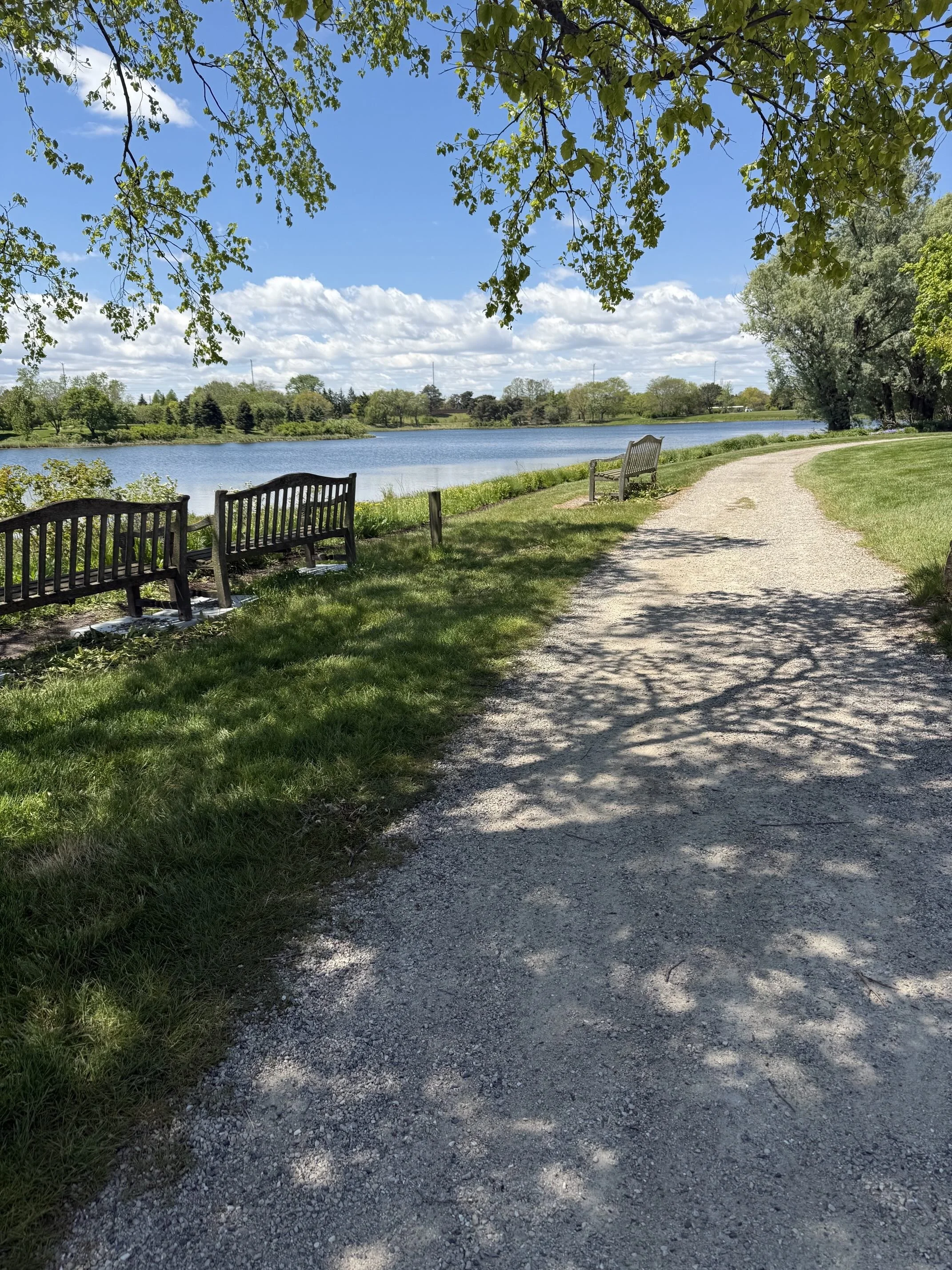 Benches overlooking a lake at the Chicago Botanic Garden on Chicago's North Shore.